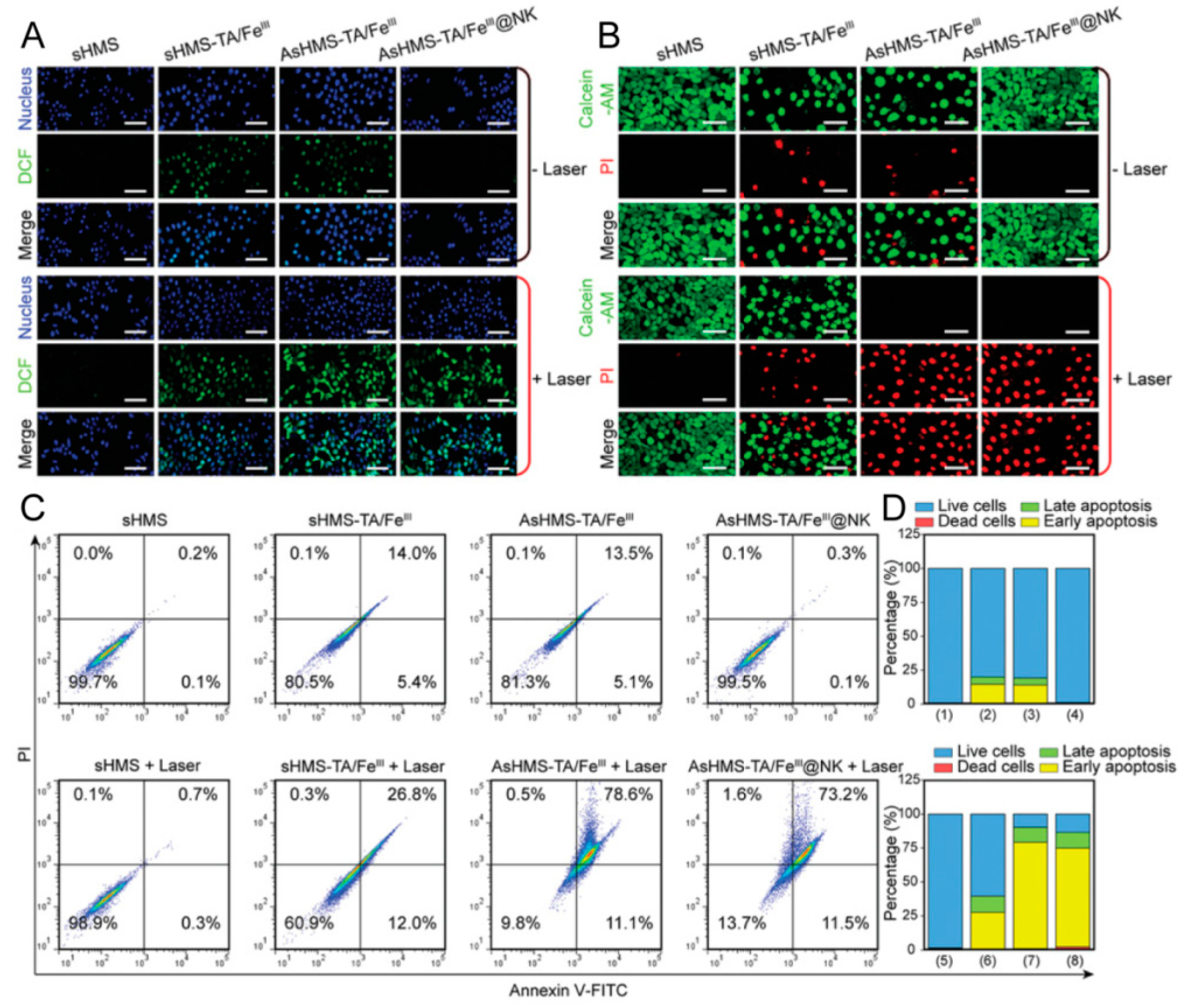 Pharmaceutics 16 00531 g012