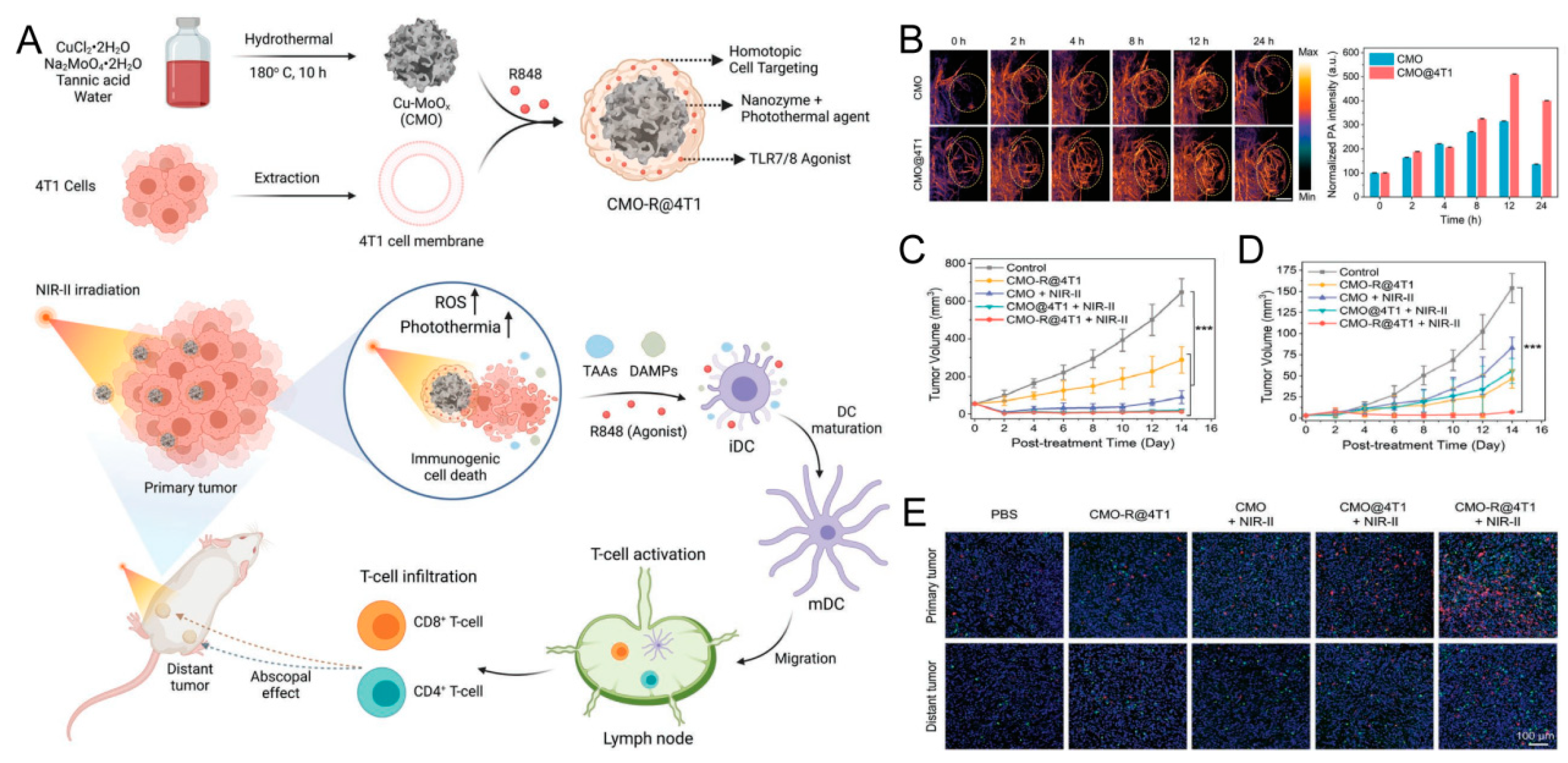 Pharmaceutics 16 00531 g014