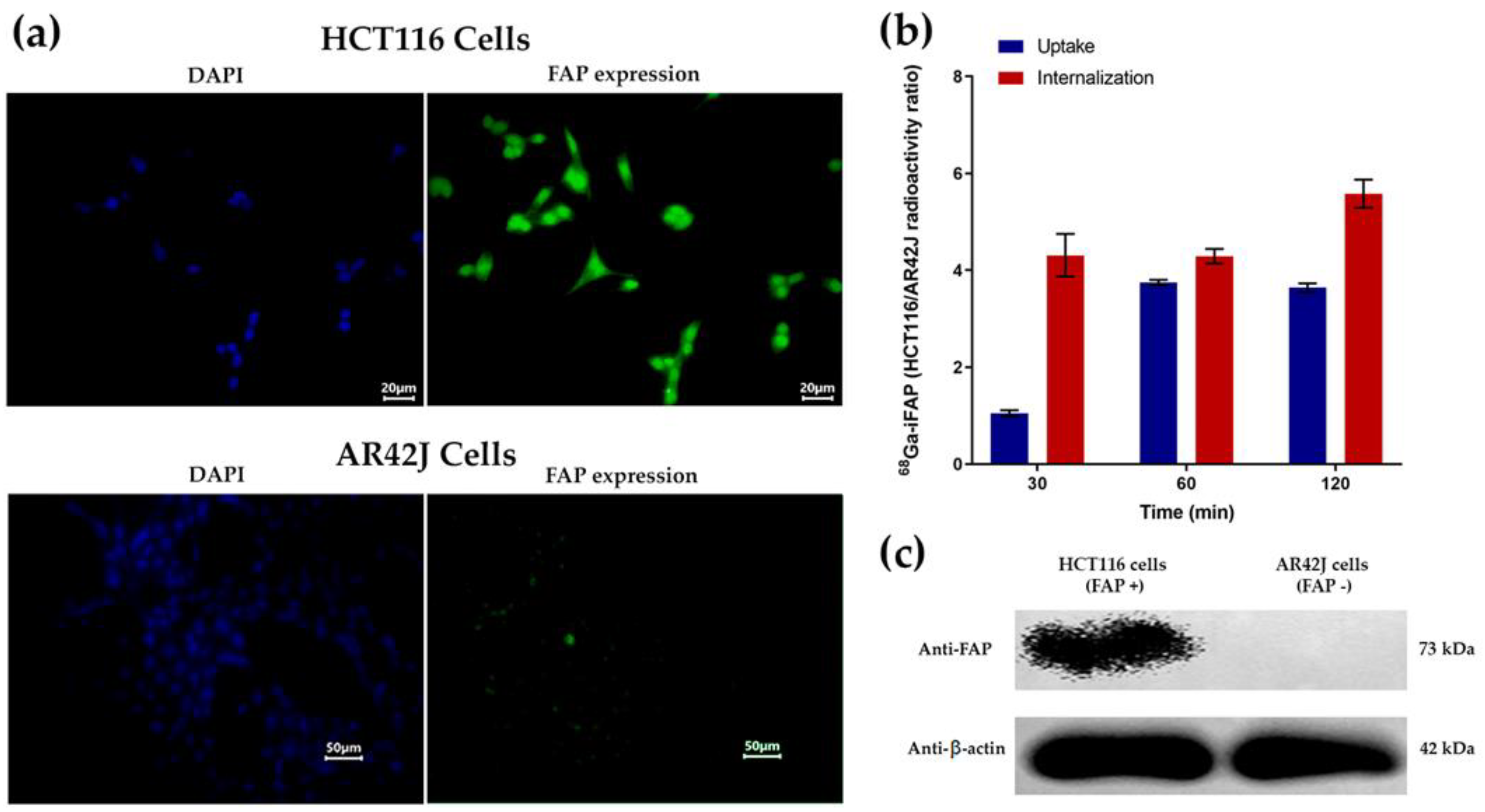Pharmaceutics 16 00532 g007