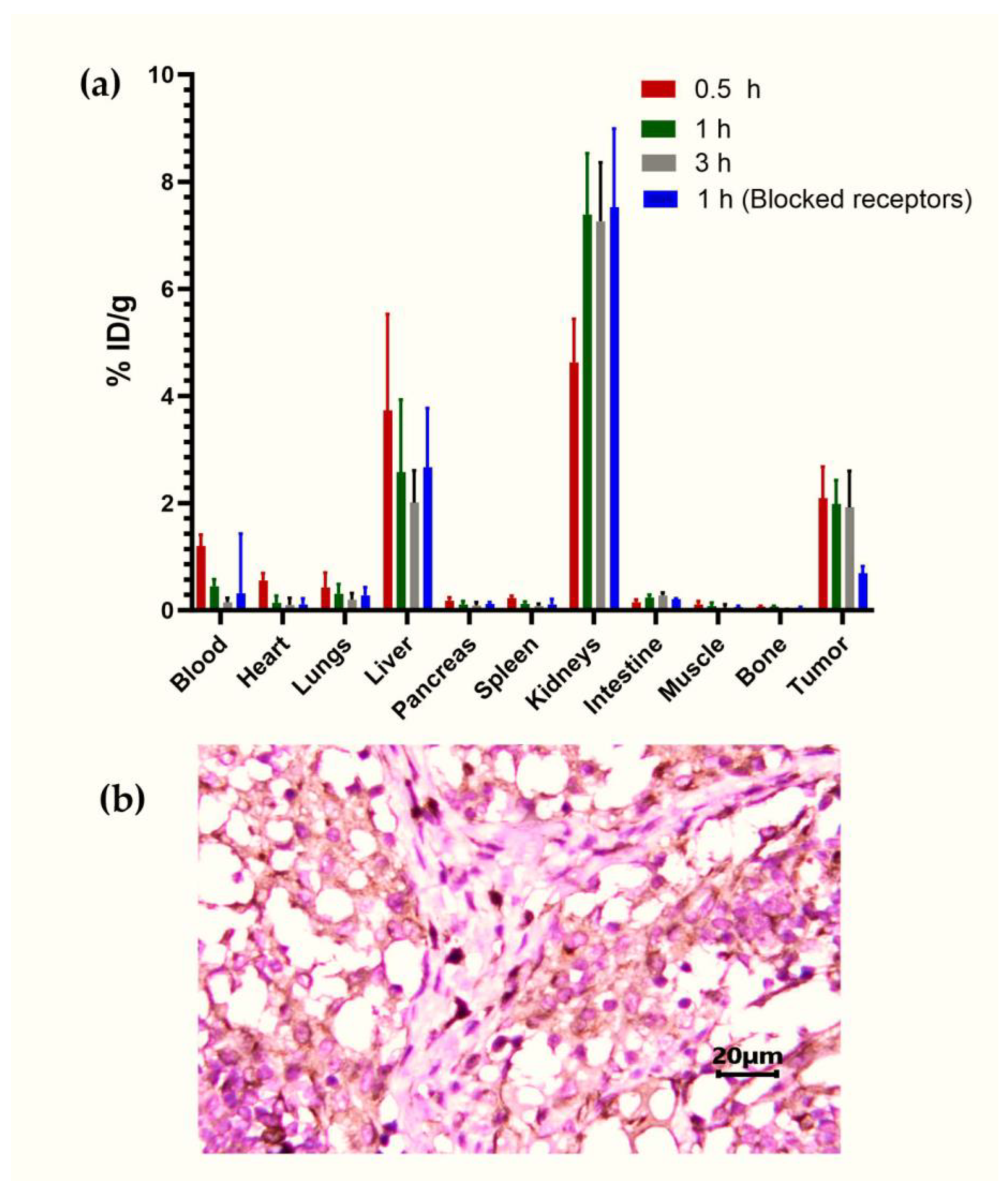 Pharmaceutics 16 00532 g008