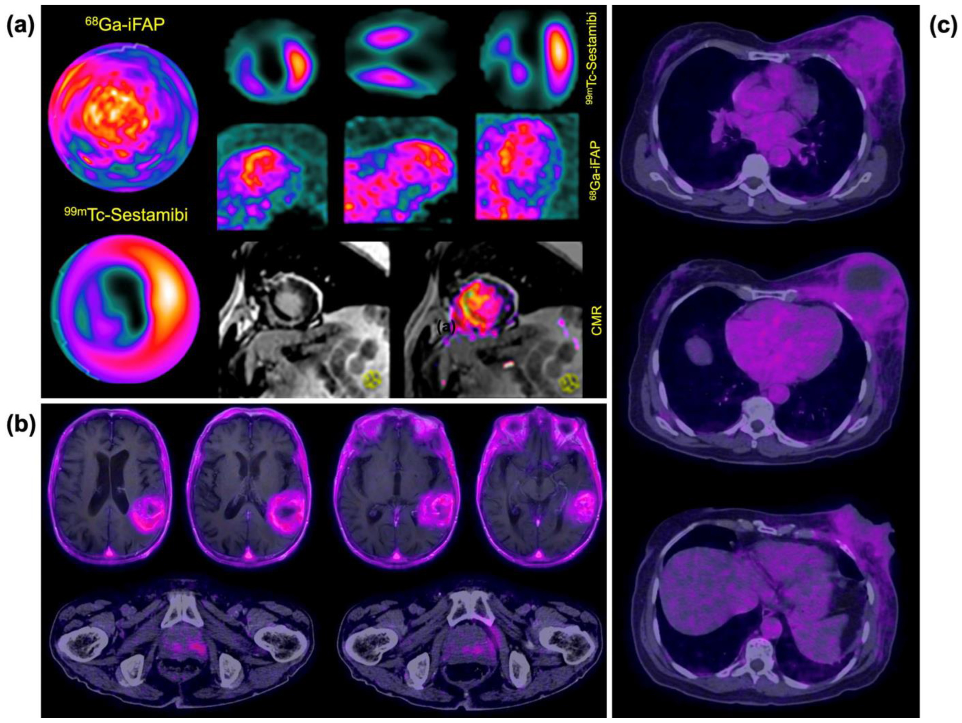 Pharmaceutics 16 00532 g011