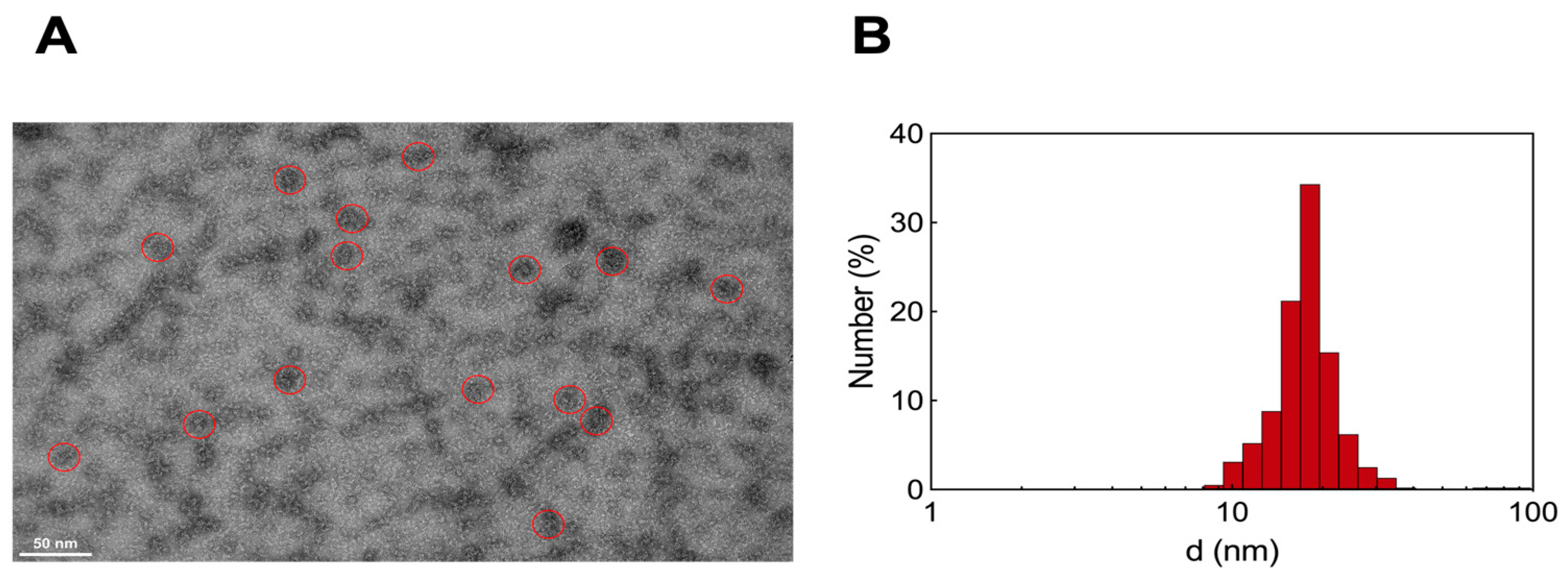 Pharmaceutics 16 00533 g006