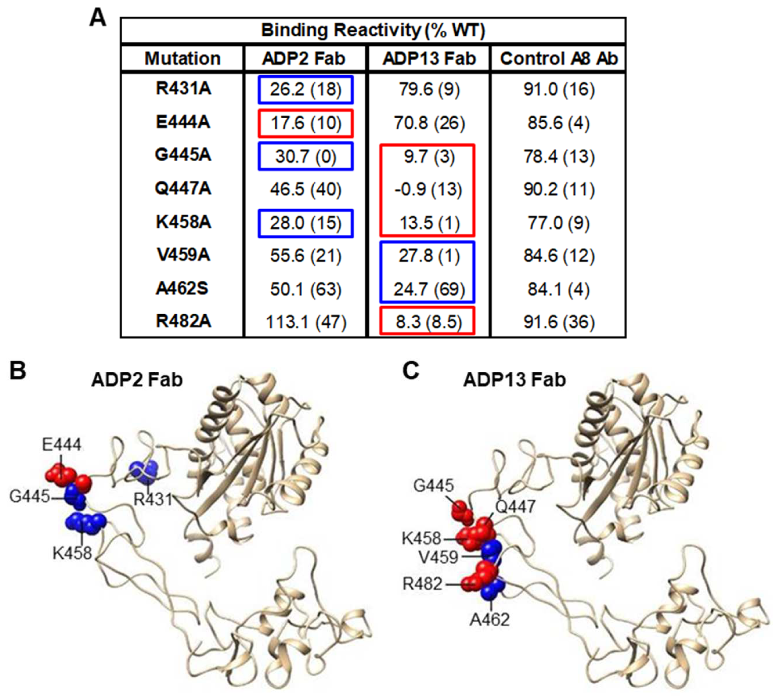 Pharmaceutics 16 00536 g005