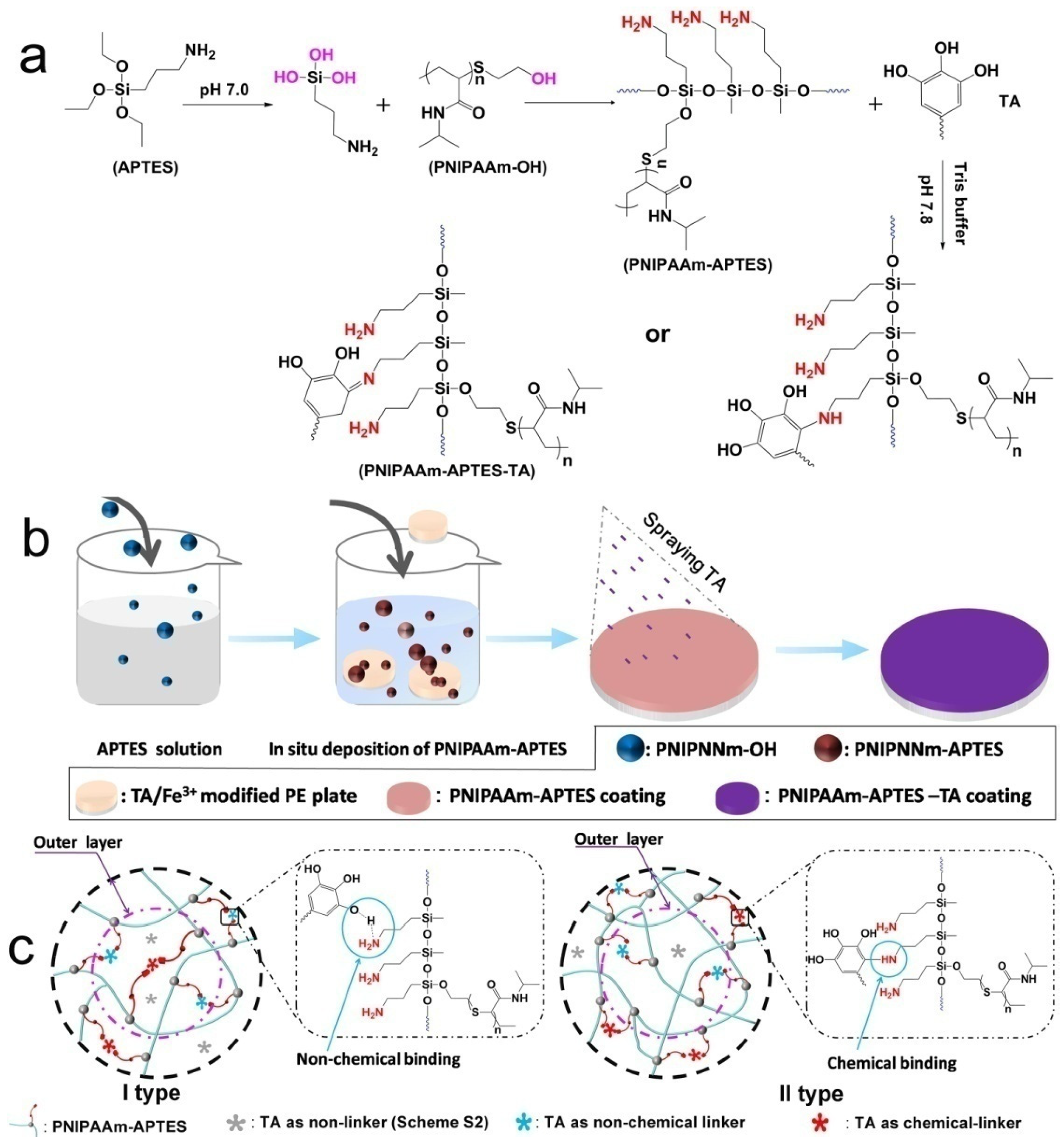 Pharmaceutics 16 00538 sch001