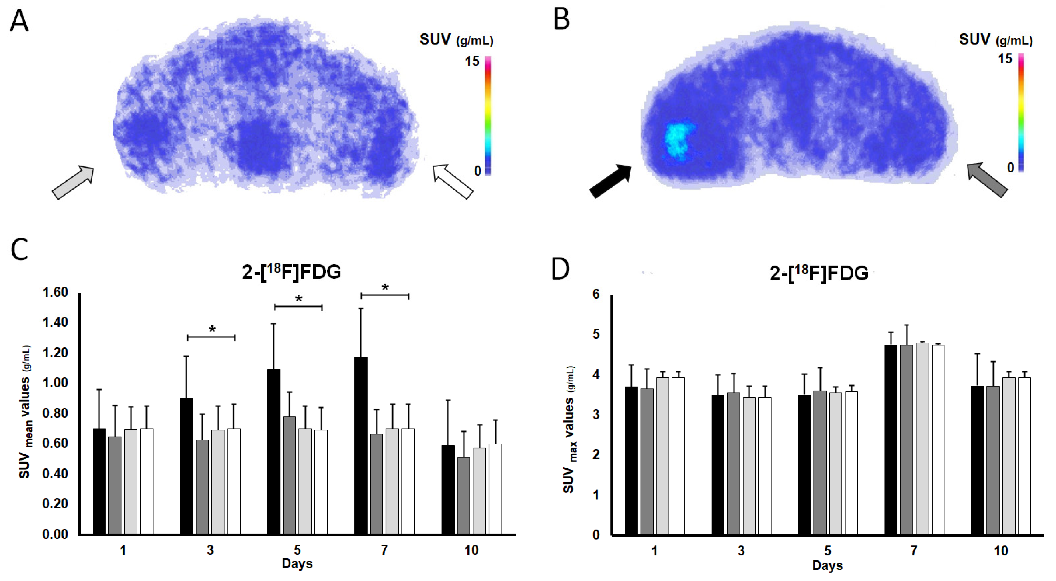 Pharmaceutics 16 00542 g003