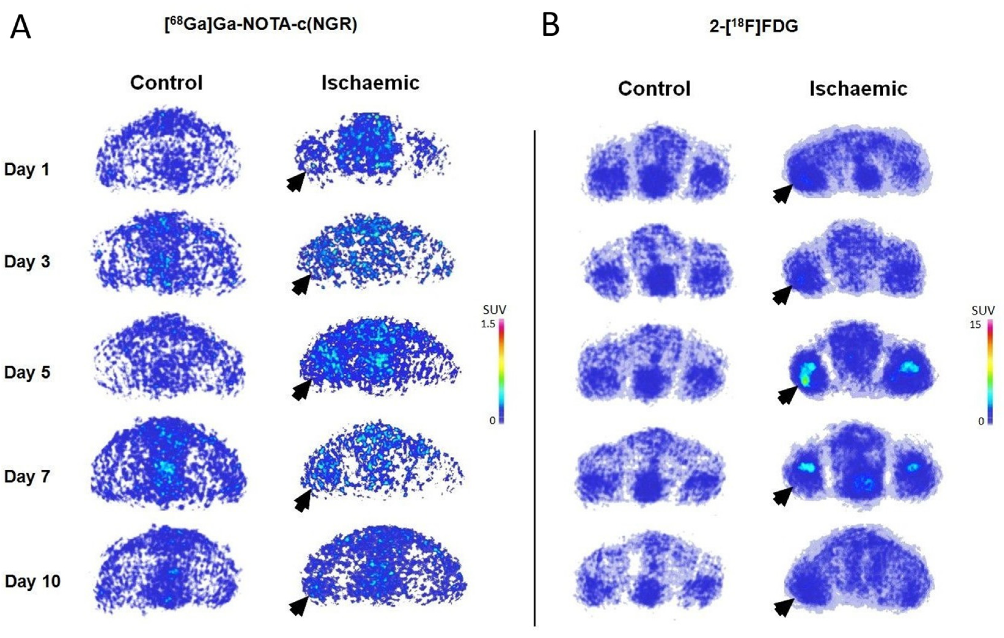 Pharmaceutics 16 00542 g004