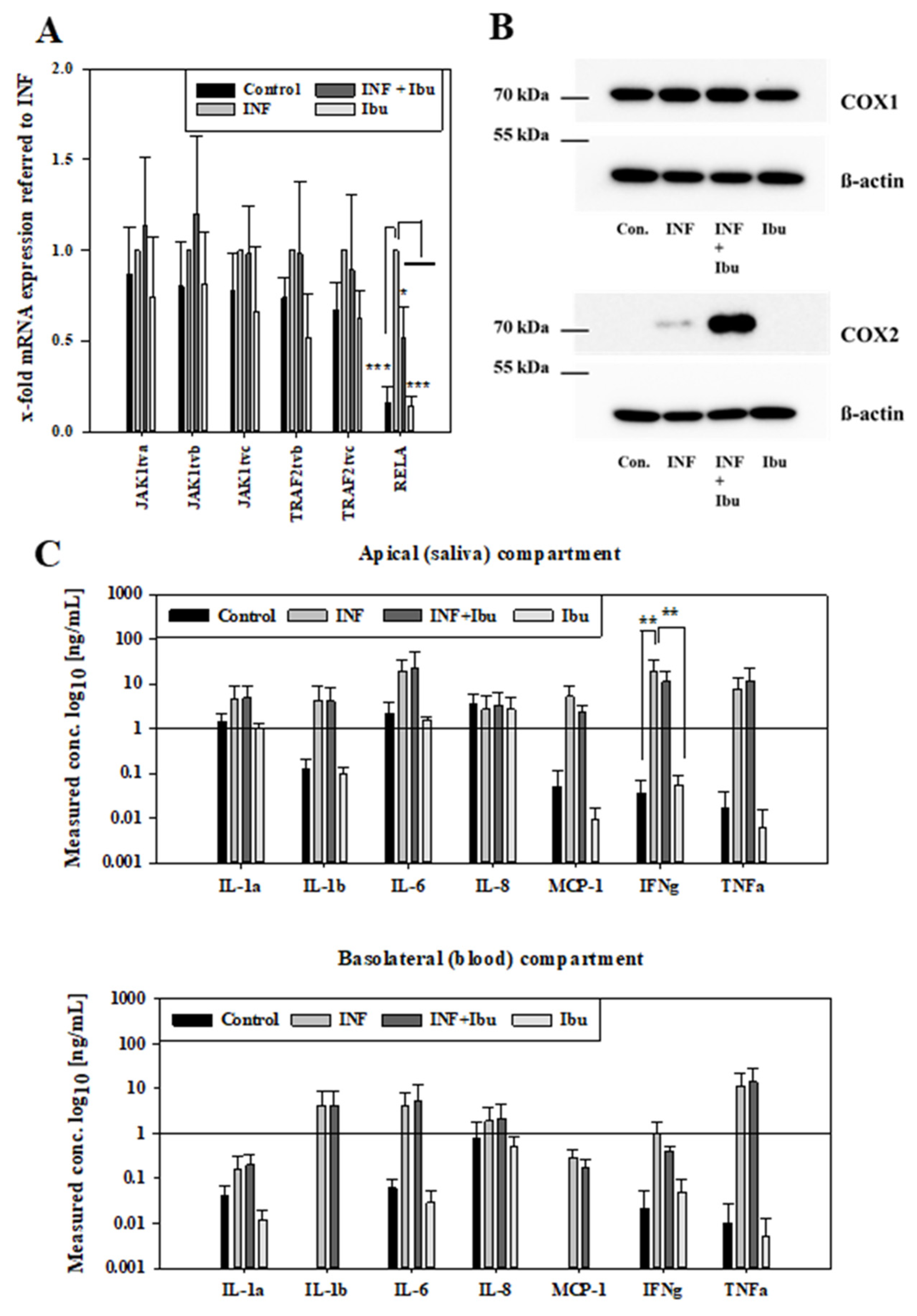 Pharmaceutics 16 00543 g002 Pharmaceutics 16 00543 g002