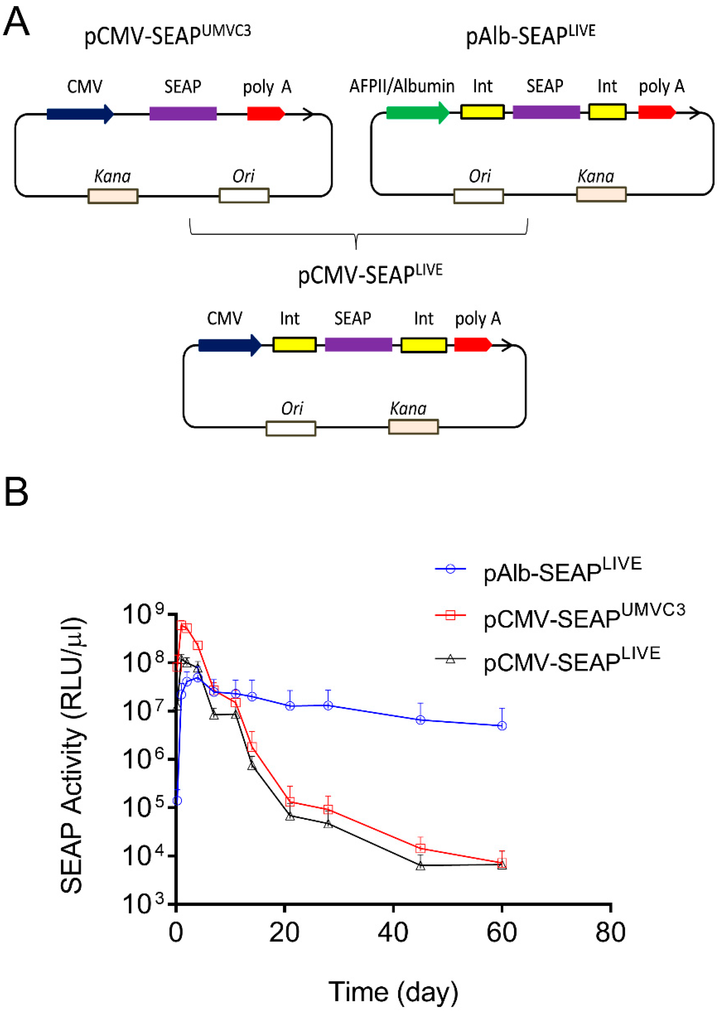 Pharmaceutics 16 00544 g001 Pharmaceutics 16 00544 g001