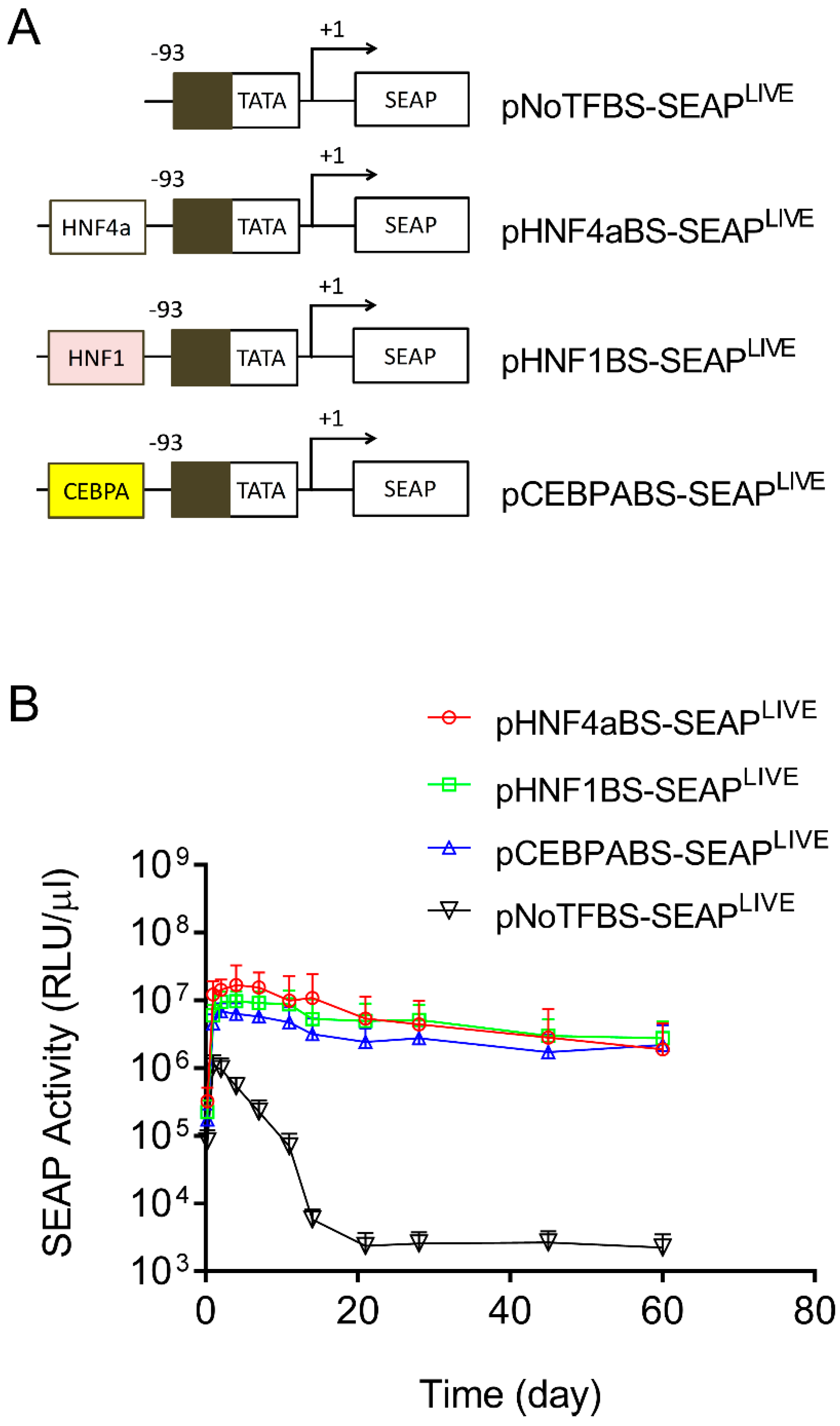 Pharmaceutics 16 00544 g004 Pharmaceutics 16 00544 g004