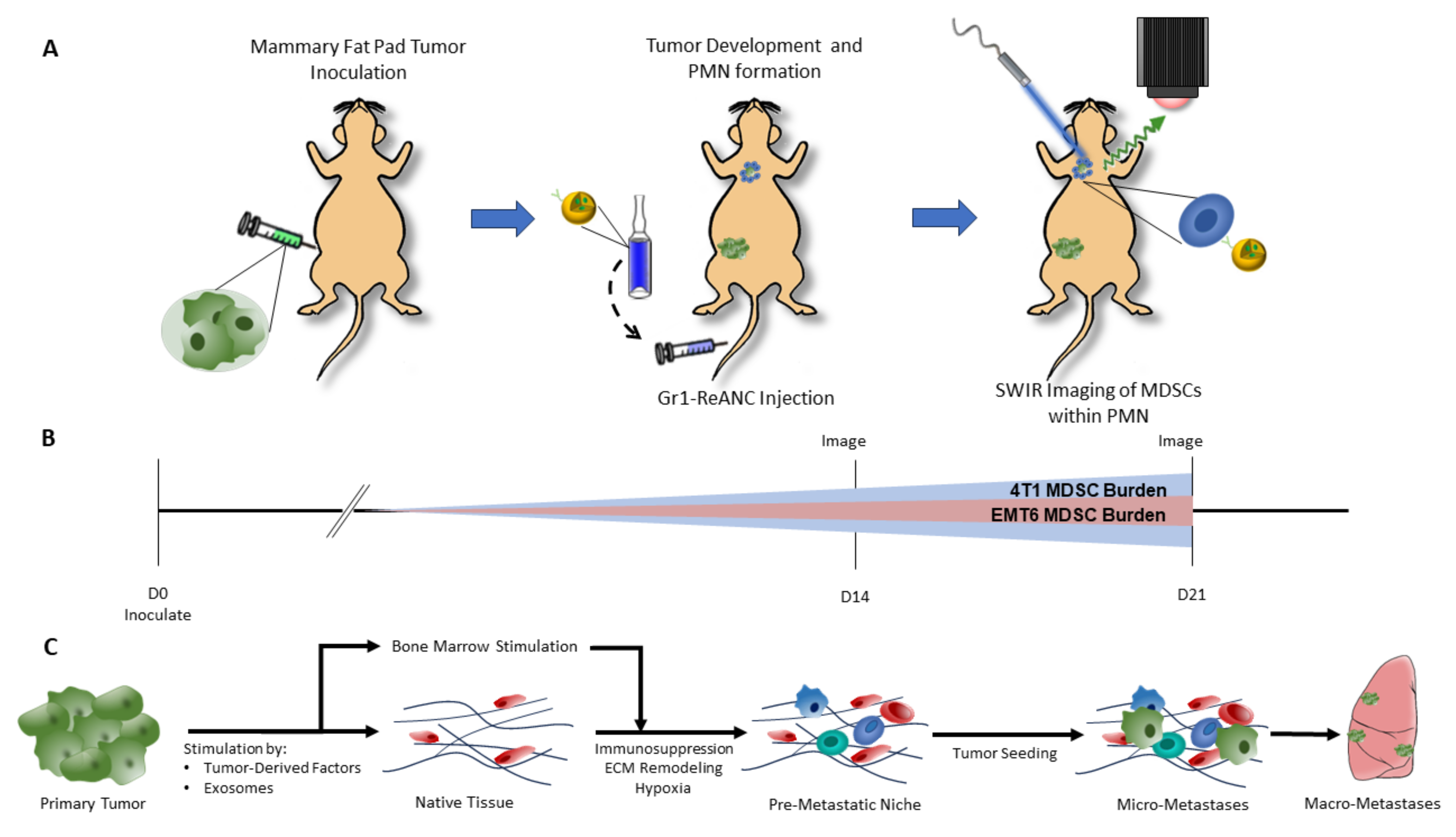 Pharmaceutics 16 00549 g001