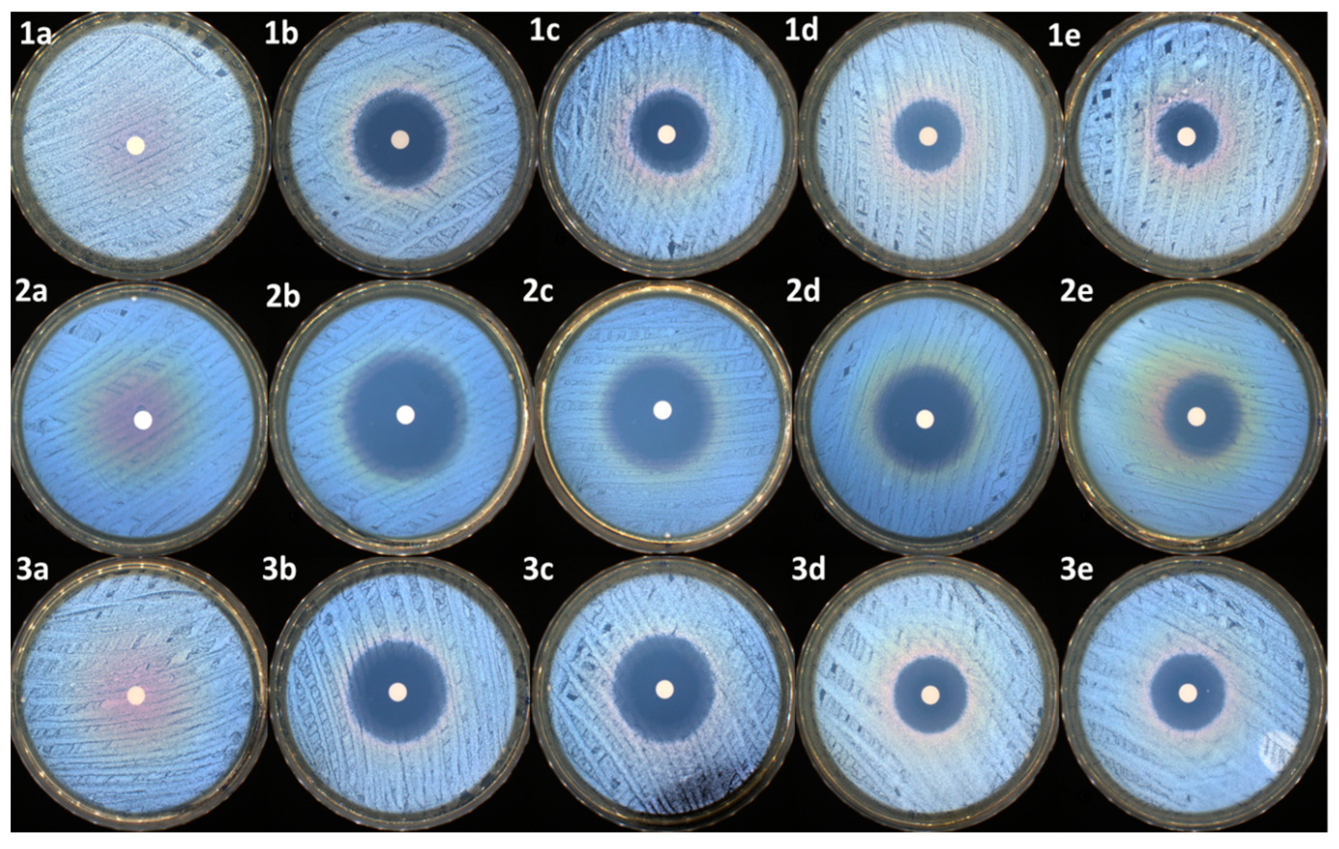 Pharmaceutics 16 00550 g009