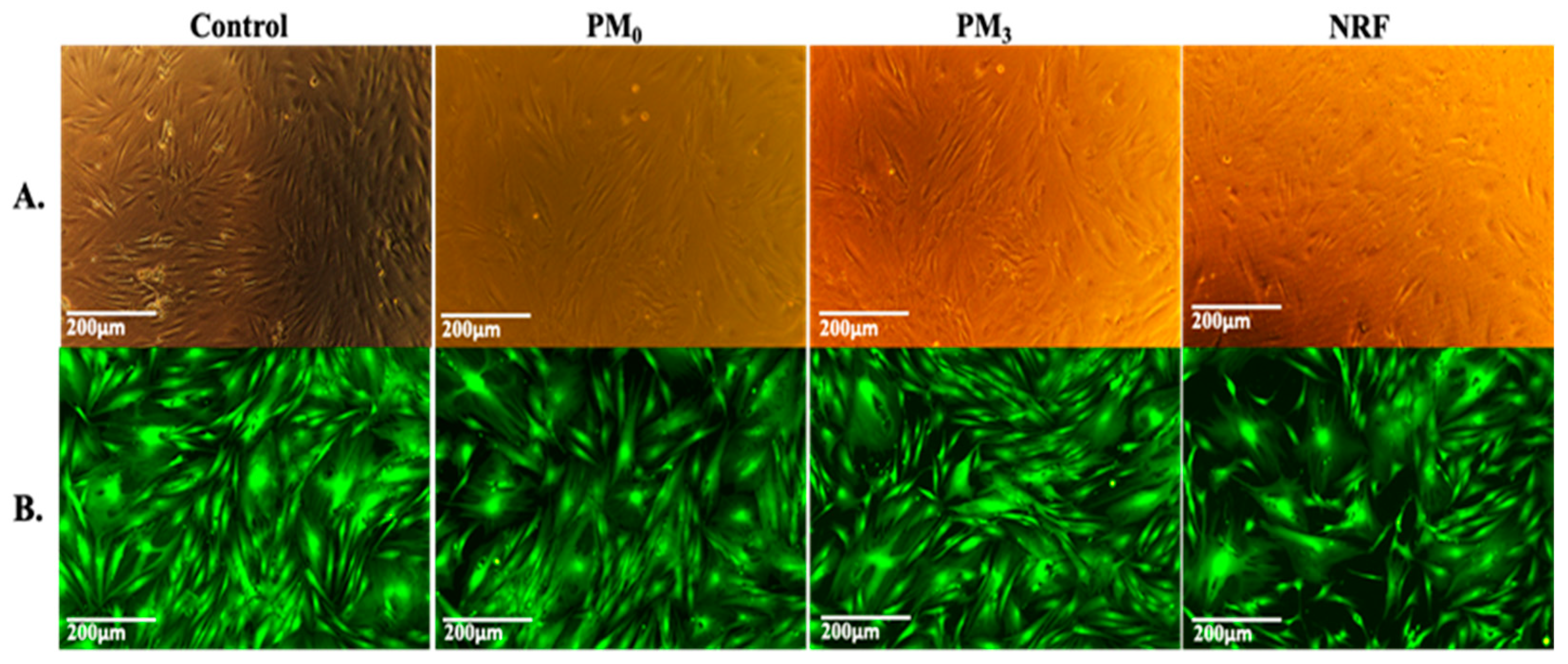 Pharmaceutics 16 00550 g011