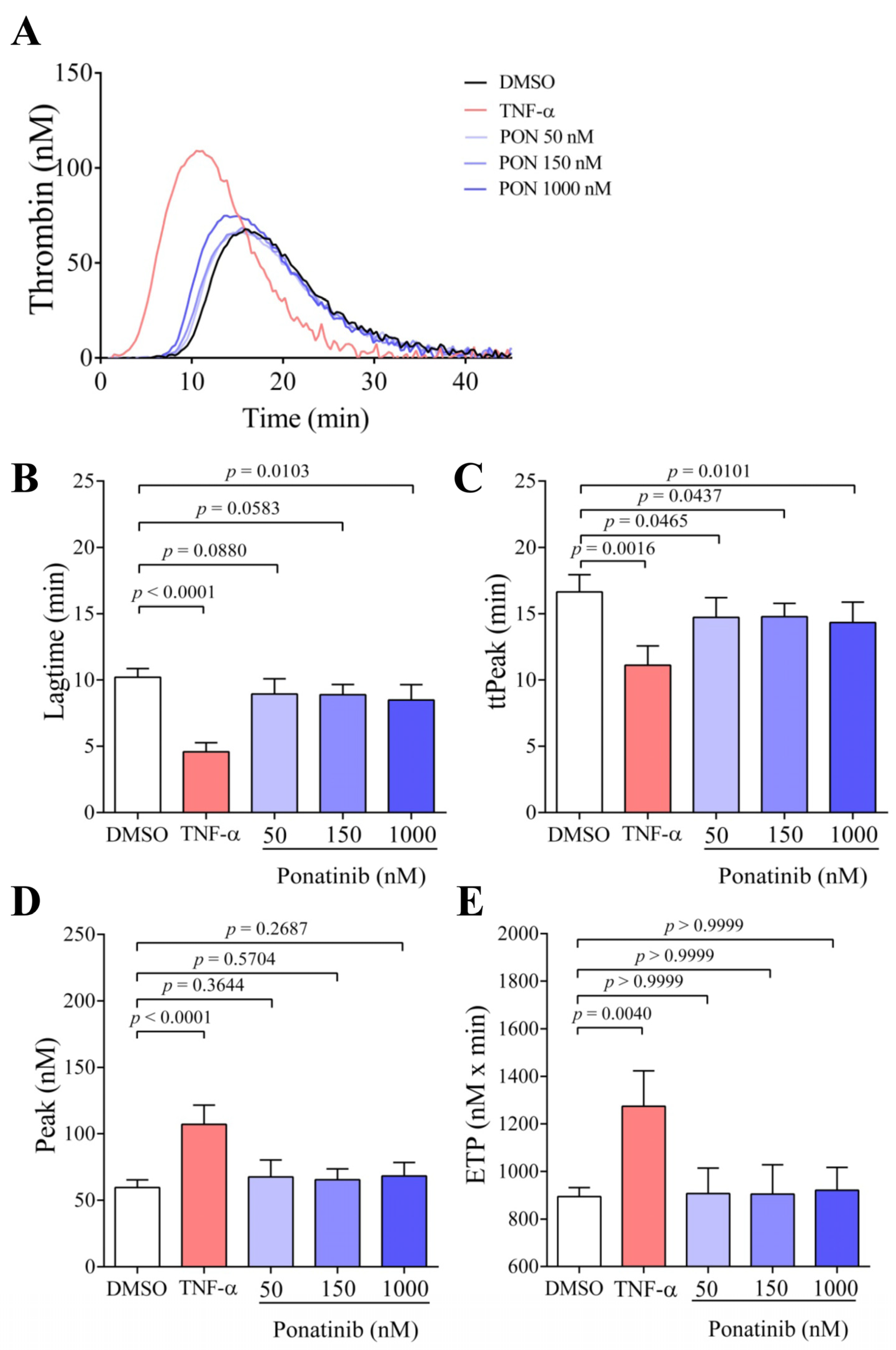Pharmaceutics 16 00559 g005