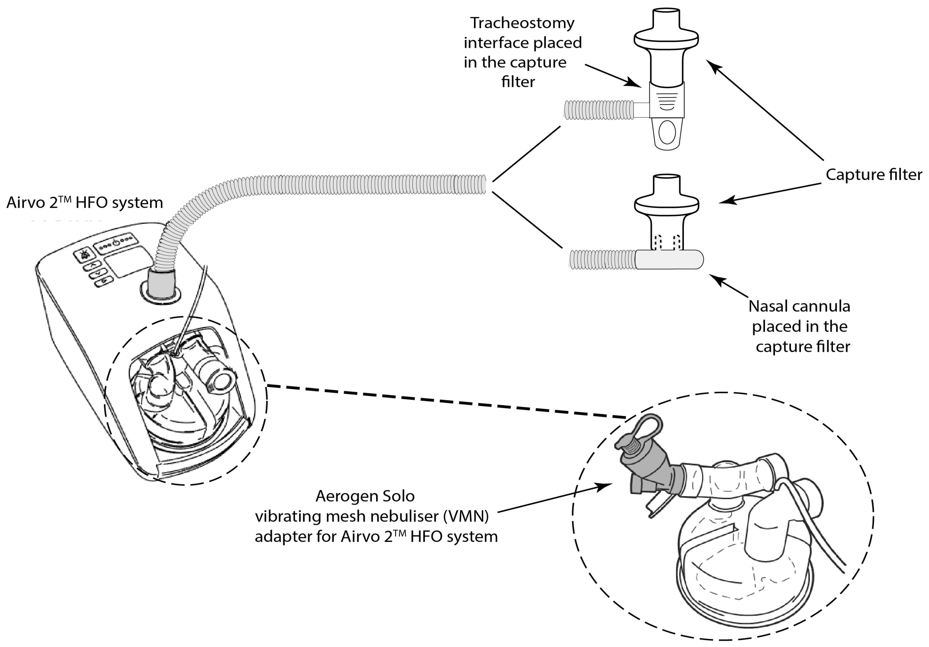 Pharmaceutics 16 00565 g002