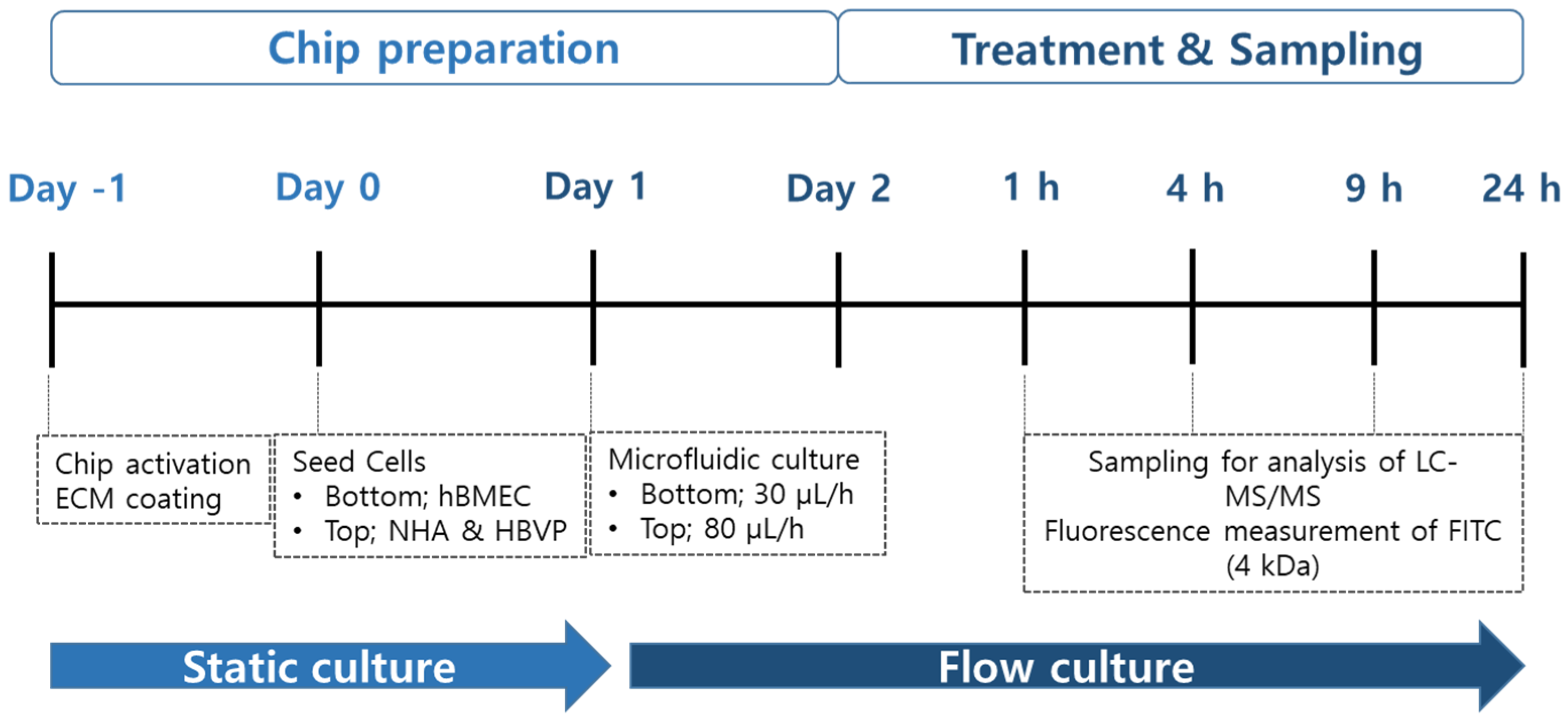 Pharmaceutics 16 00574 g001