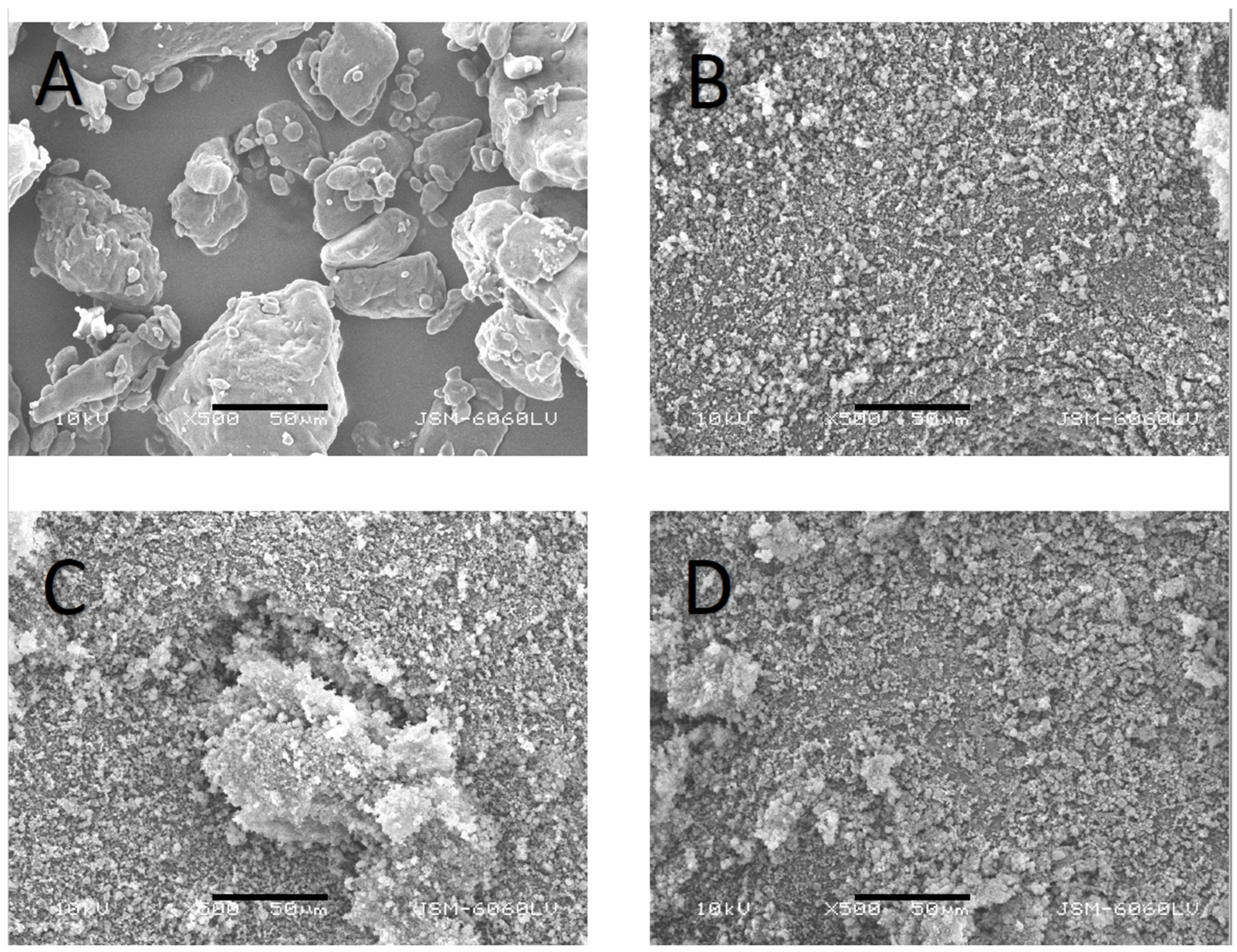 Pharmaceutics 16 00575 g002 Pharmaceutics 16 00575 g002