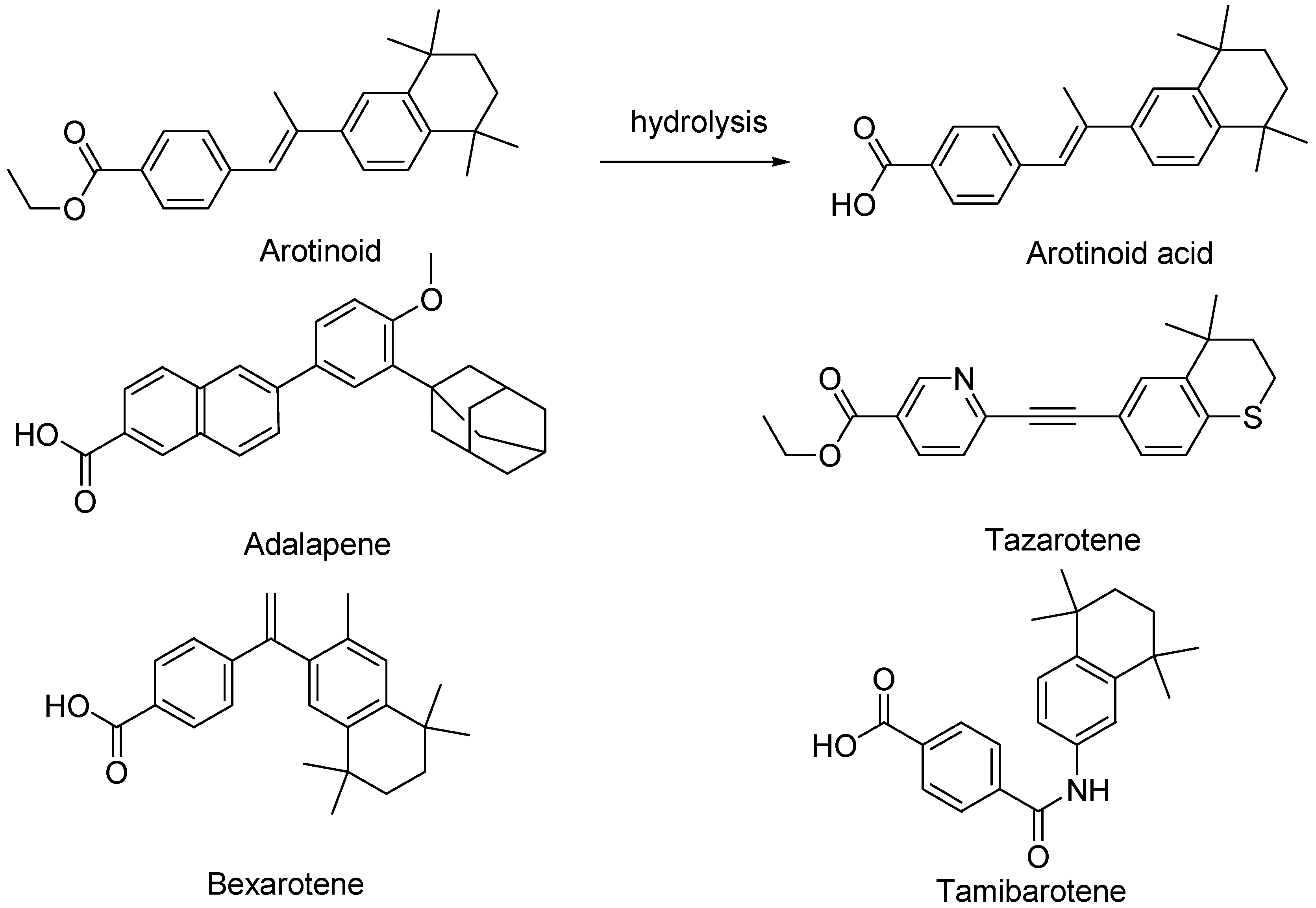 Pharmaceutics 16 00579 g006 Pharmaceutics 16 00579 g006