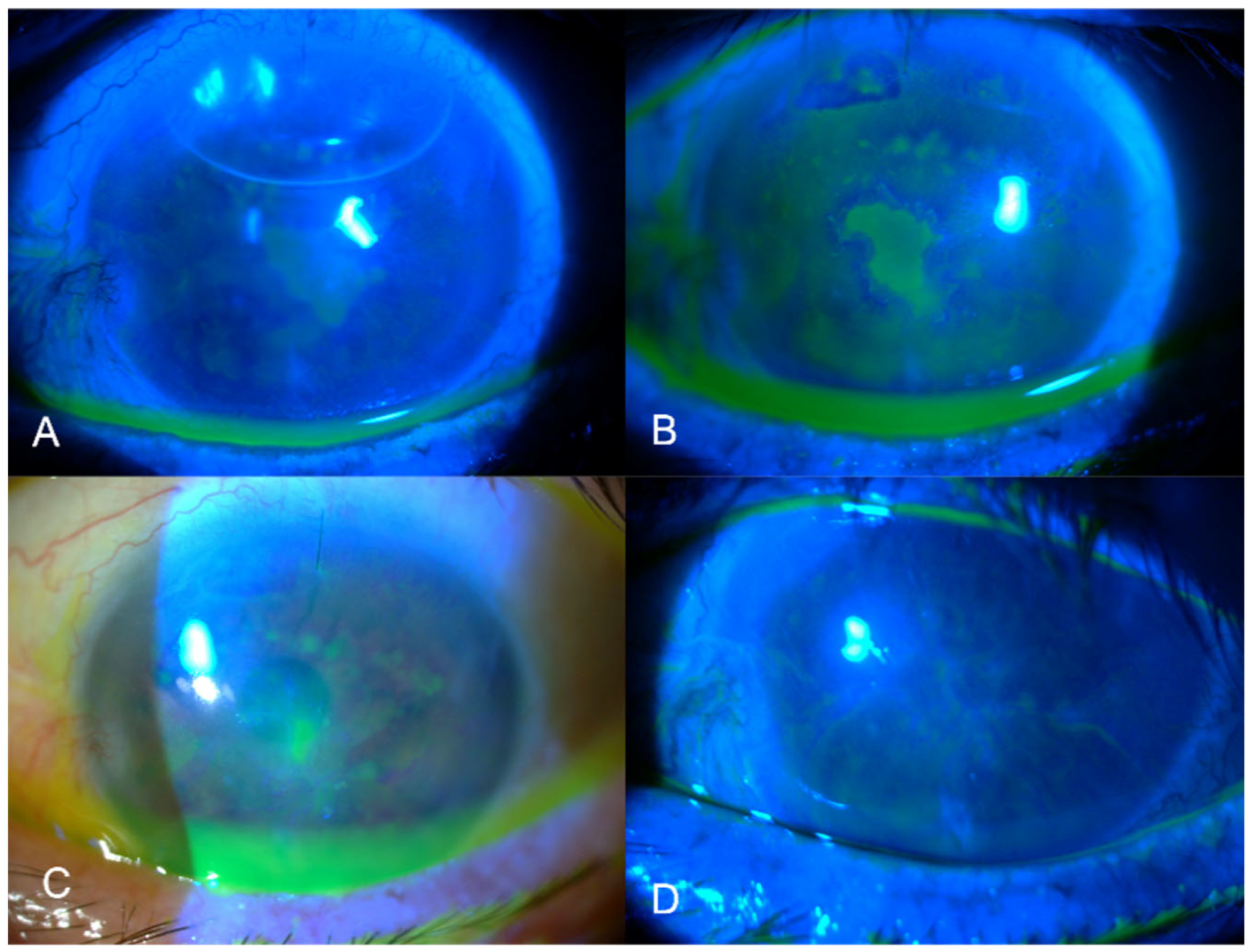Pharmaceutics 16 00580 g004 Pharmaceutics 16 00580 g004