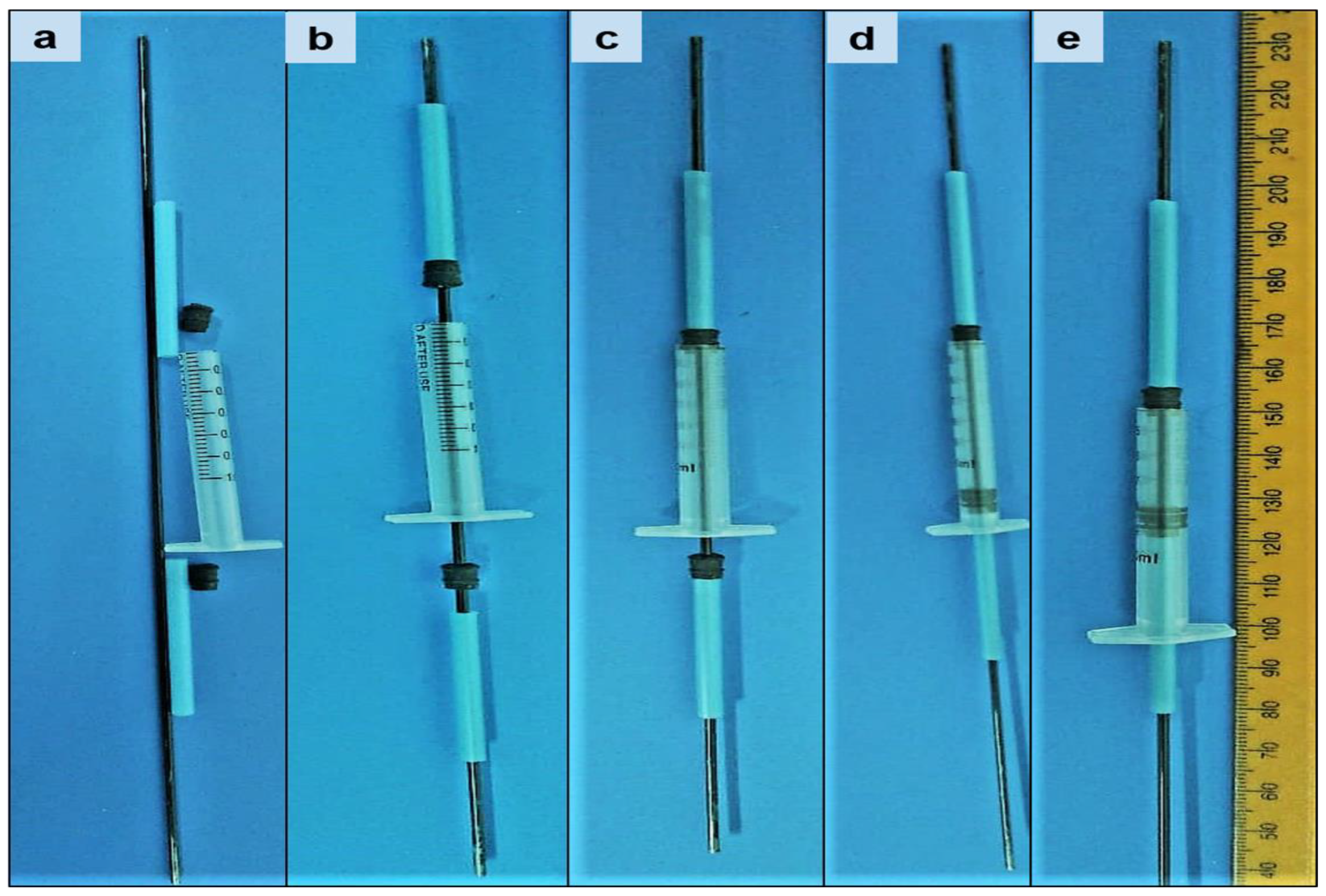 Pharmaceutics 16 00587 g002