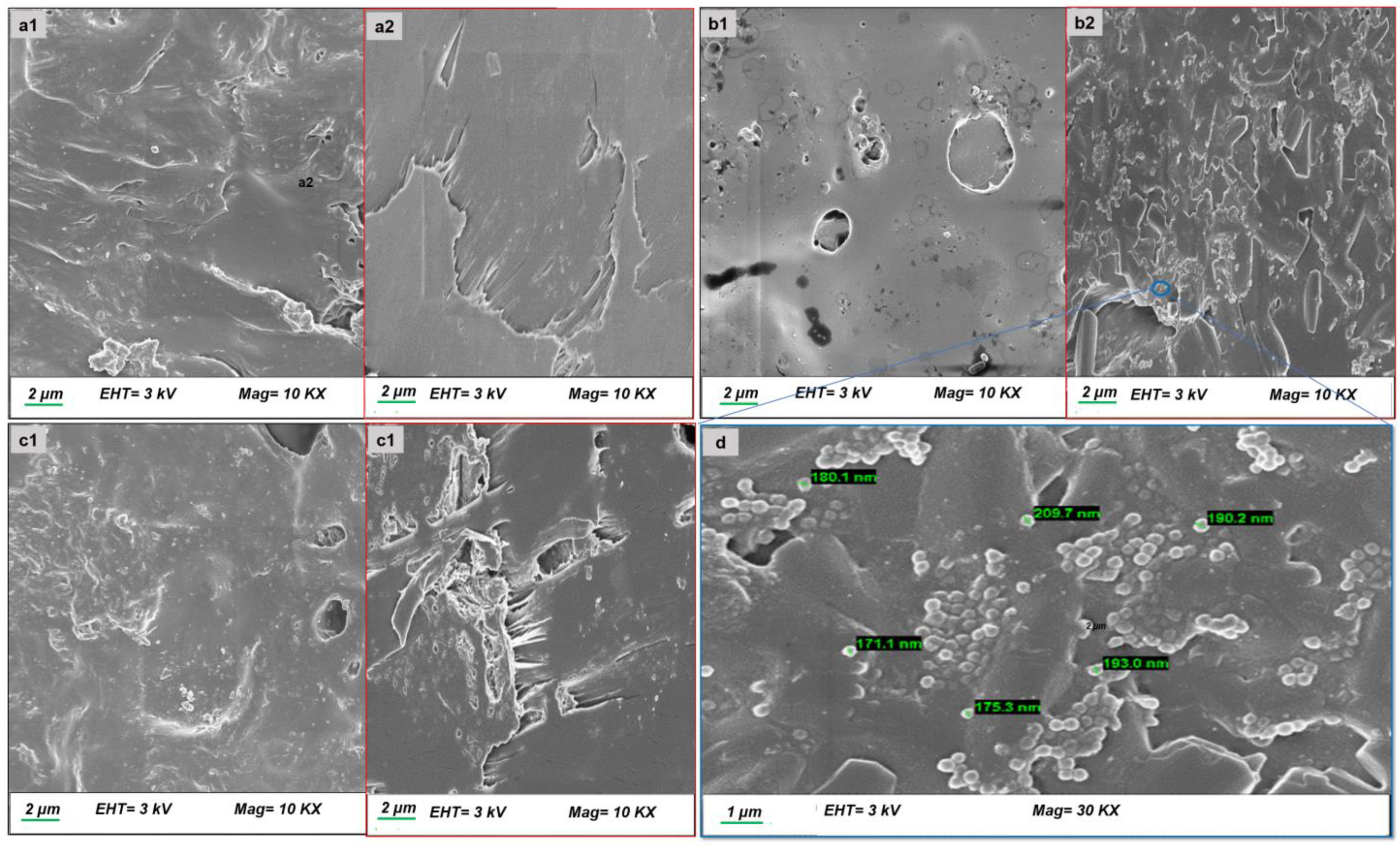 Pharmaceutics 16 00587 g009