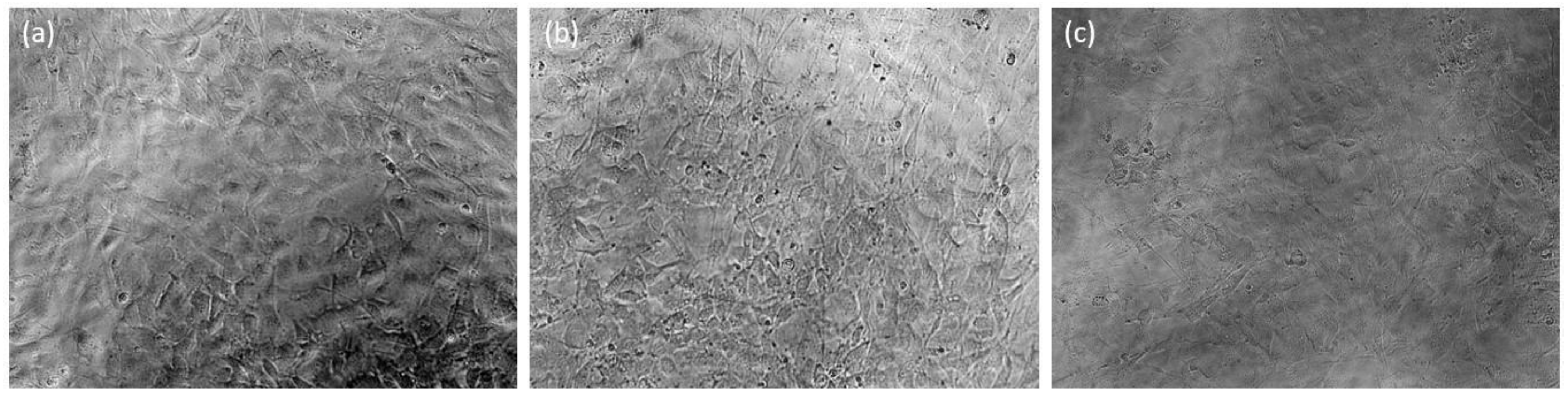 Pharmaceutics 16 00587 g012