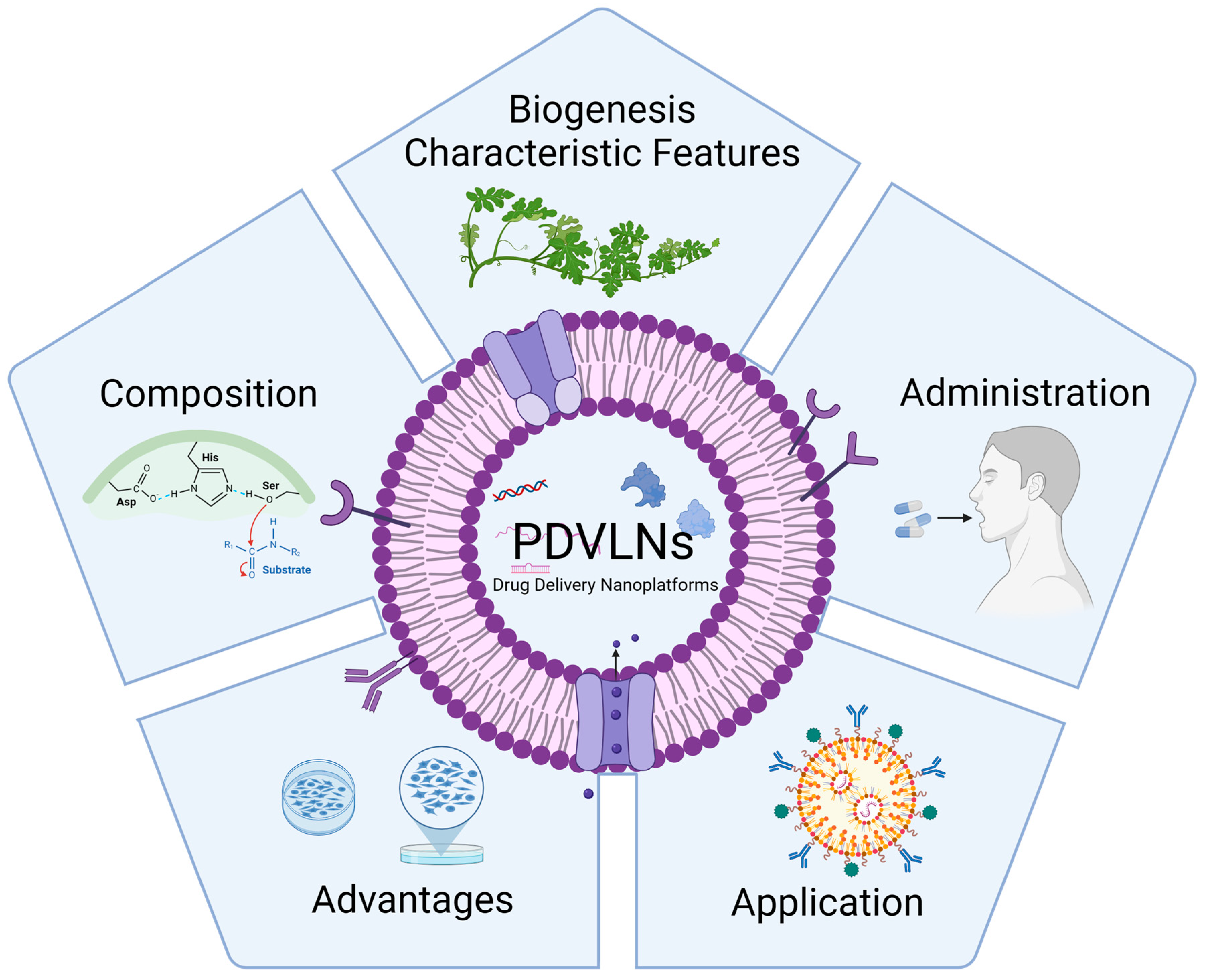 Pharmaceutics 16 00588 g001