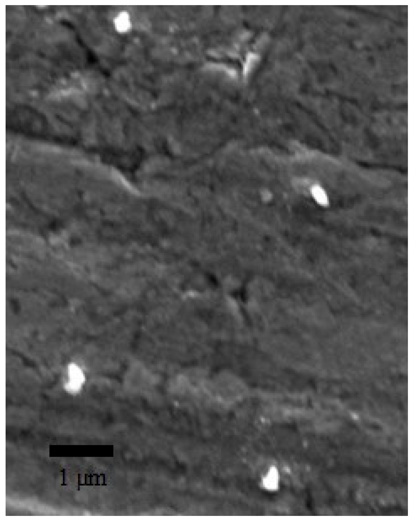 Pharmaceutics 16 00590 g001