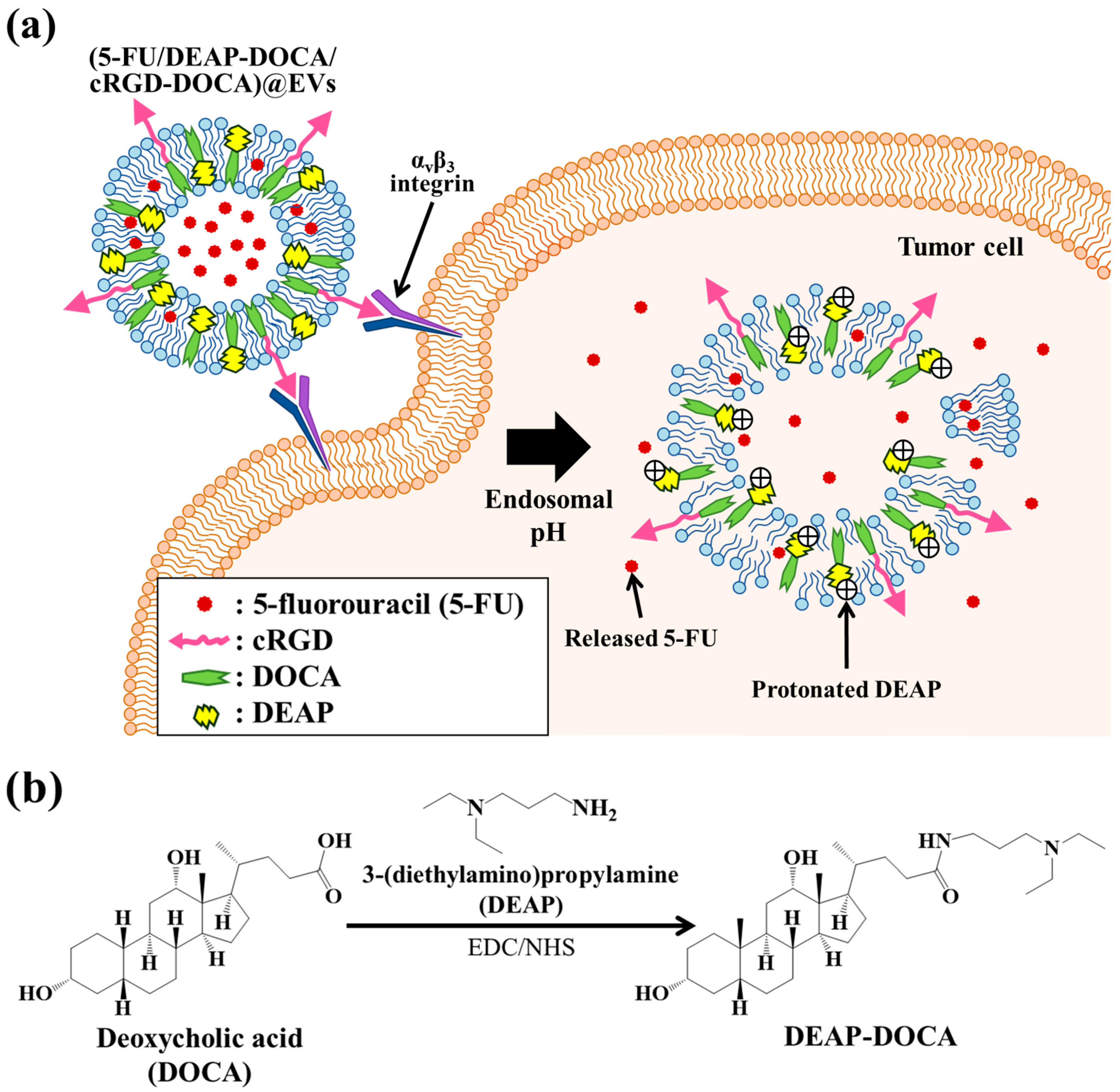 Pharmaceutics 16 00599 g001a