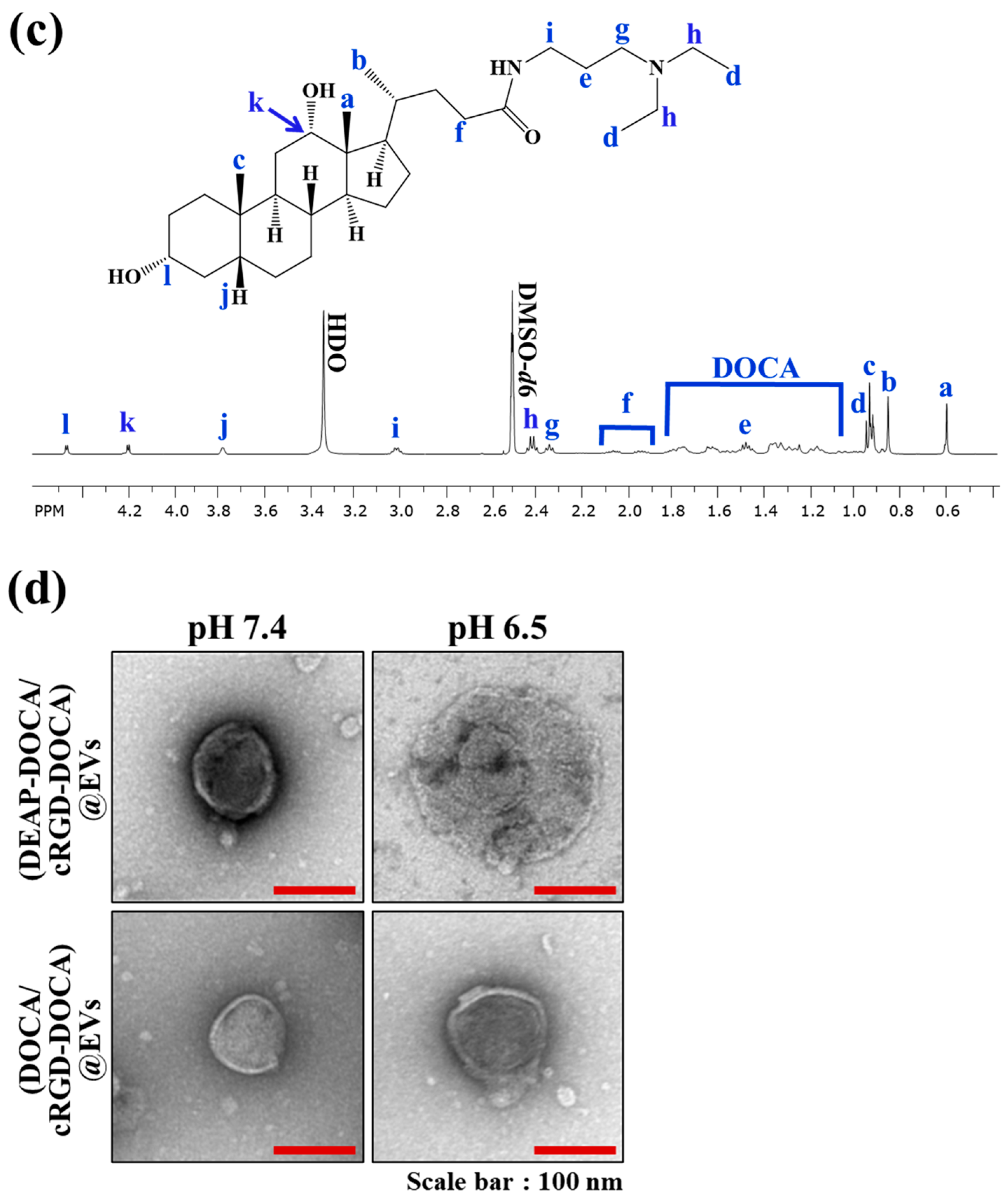 Pharmaceutics 16 00599 g001b