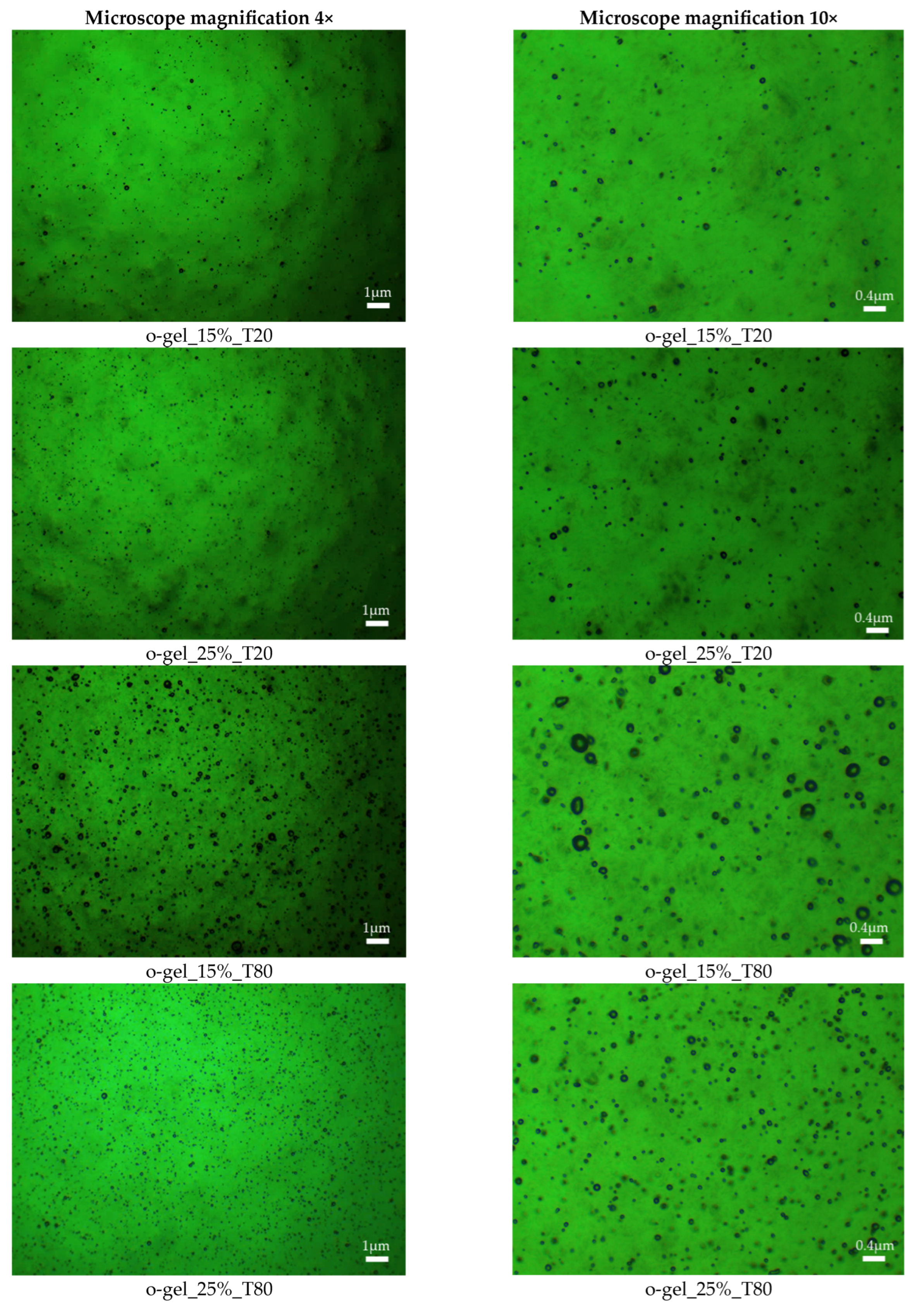 Pharmaceutics 16 00600 g005