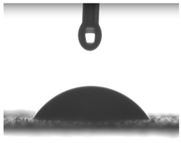 Pharmaceutics 16 00600 i003