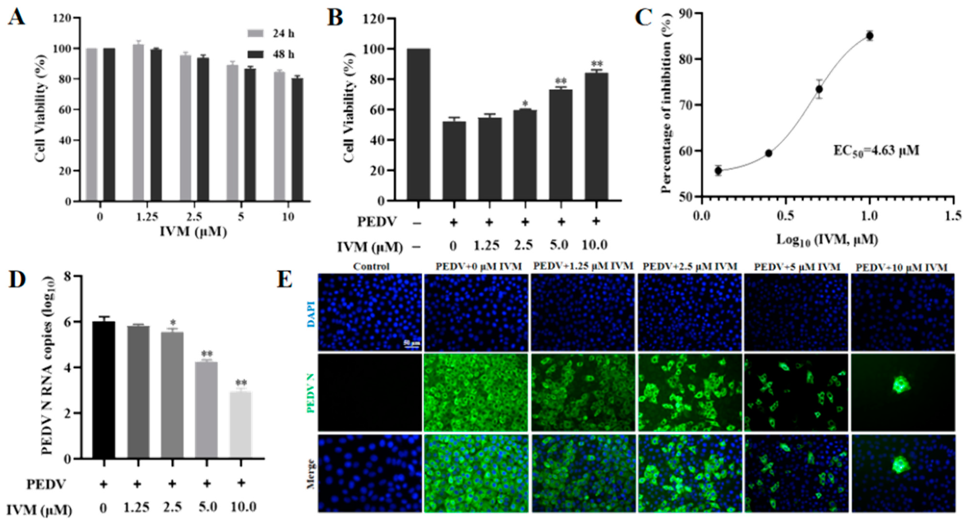 Pharmaceutics 16 00601 g001 Pharmaceutics 16 00601 g001