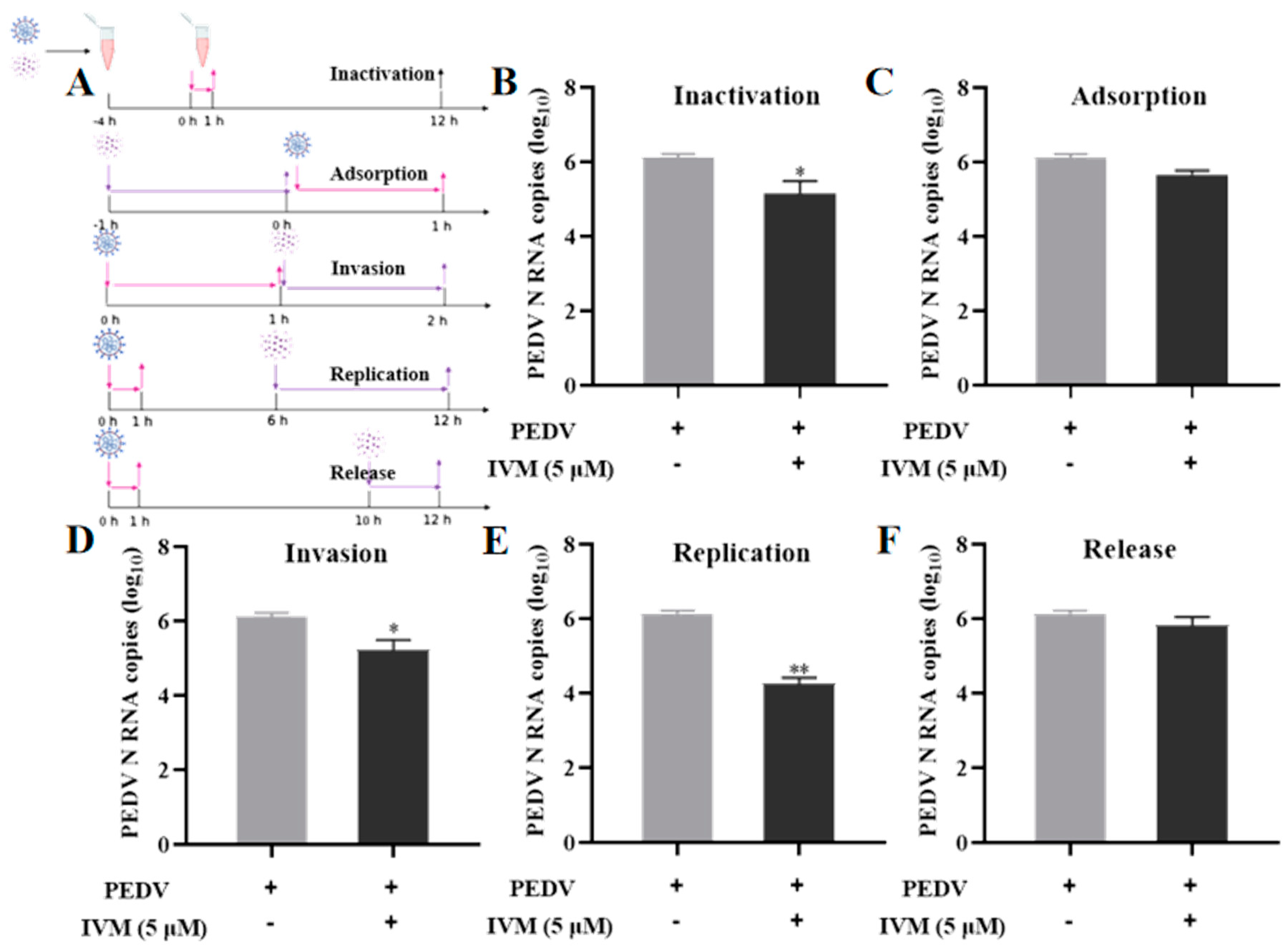 Pharmaceutics 16 00601 g002 Pharmaceutics 16 00601 g002