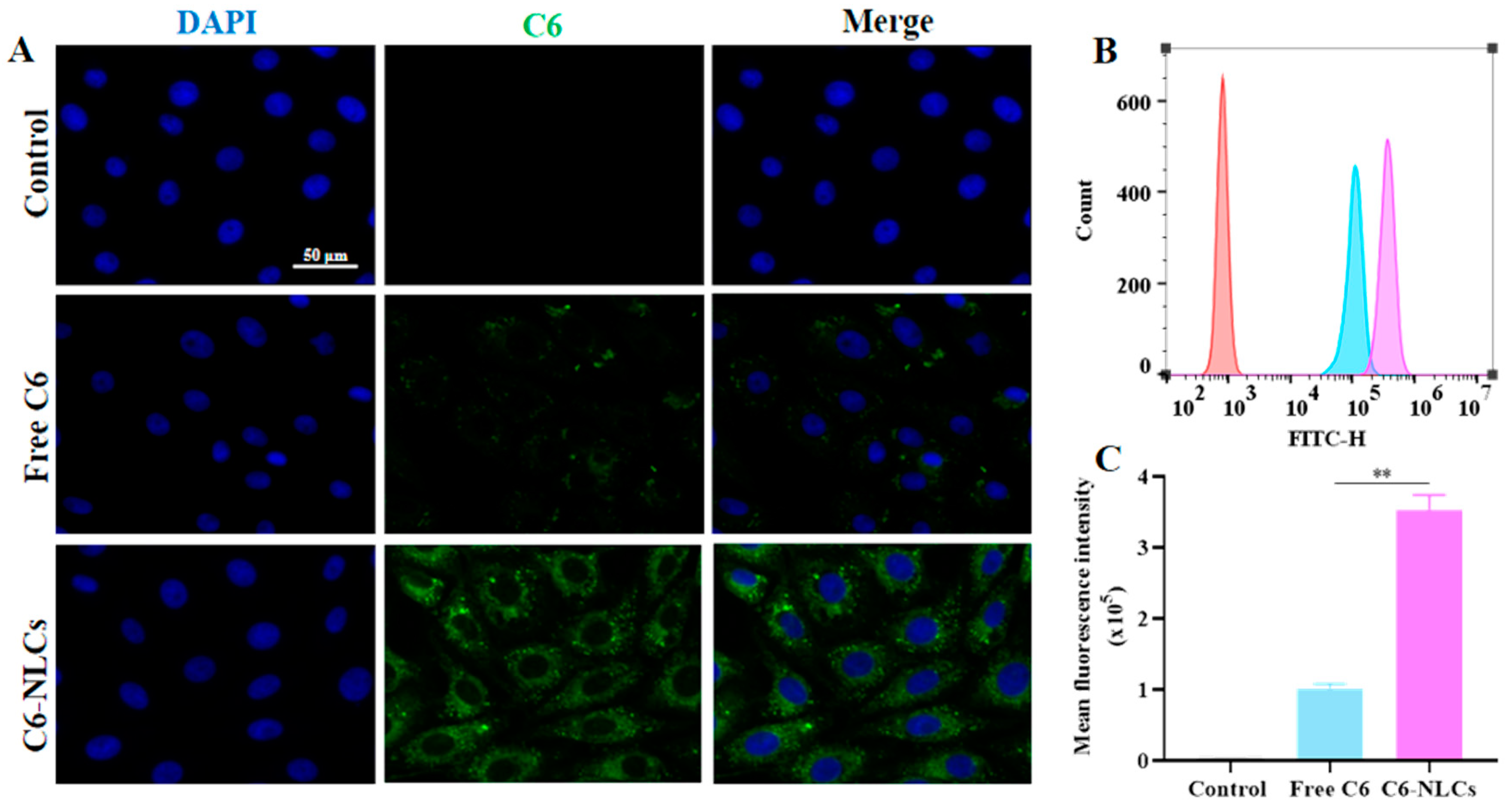 Pharmaceutics 16 00601 g004 Pharmaceutics 16 00601 g004