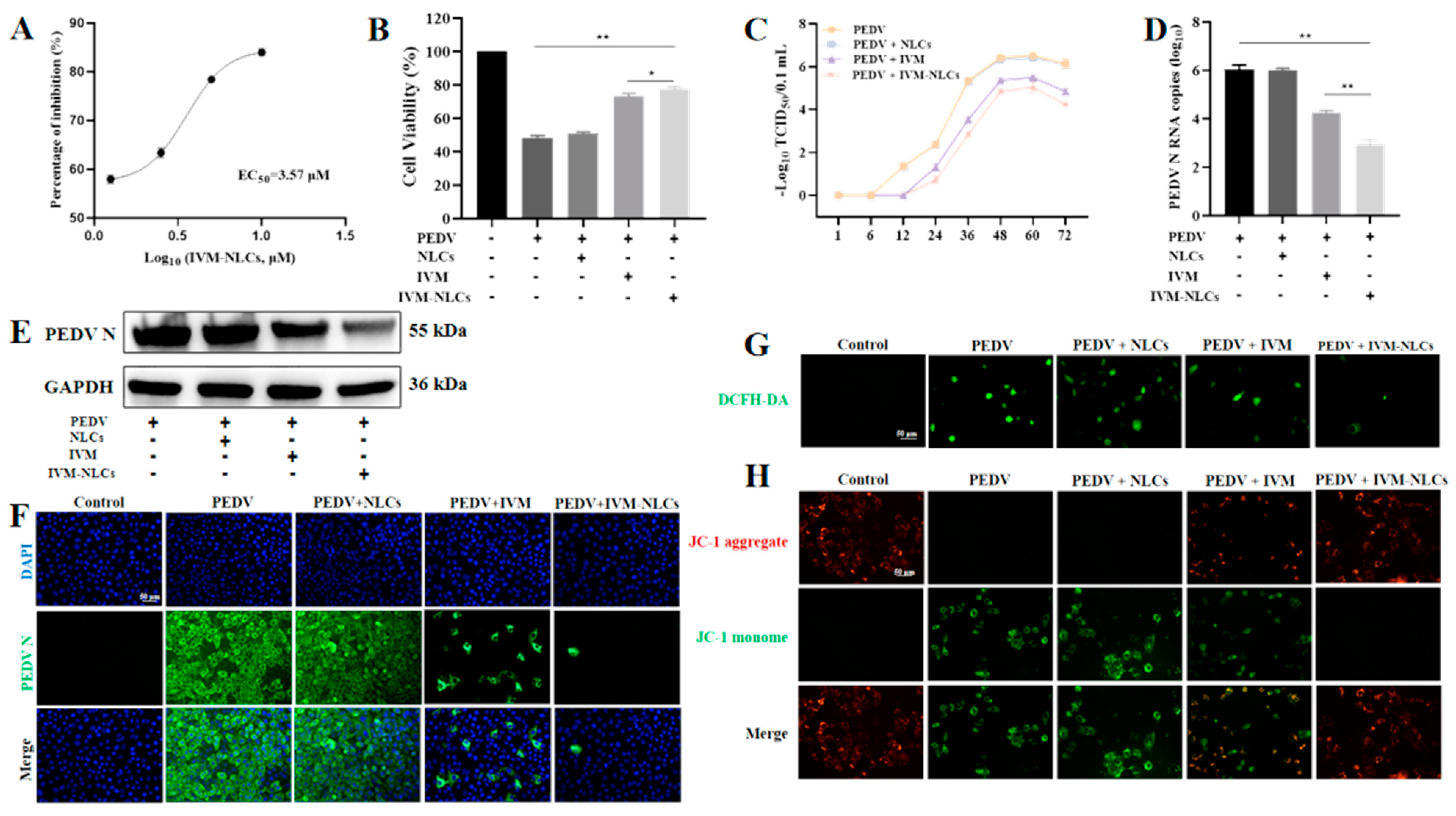 Pharmaceutics 16 00601 g005 Pharmaceutics 16 00601 g005