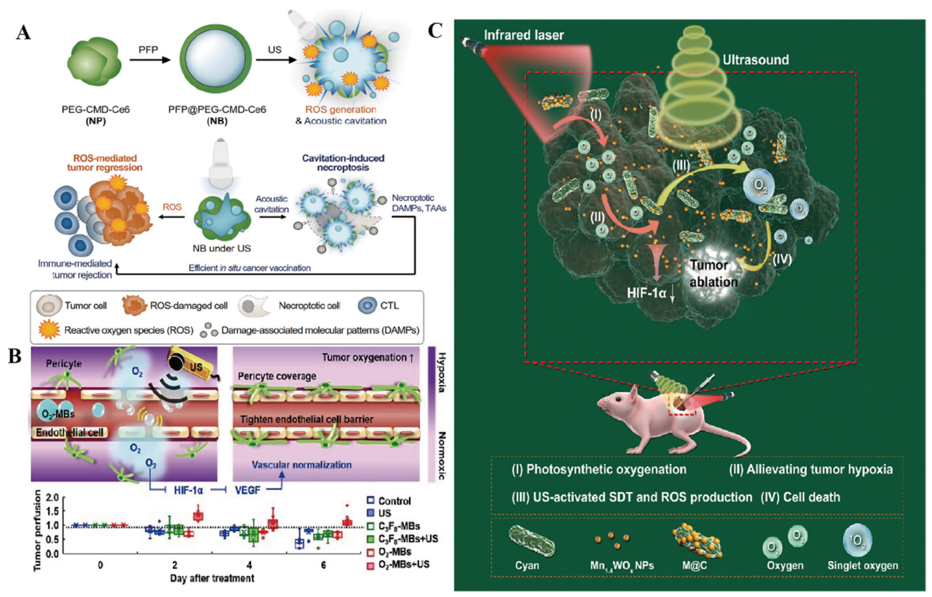 Pharmaceutics 16 00603 g003