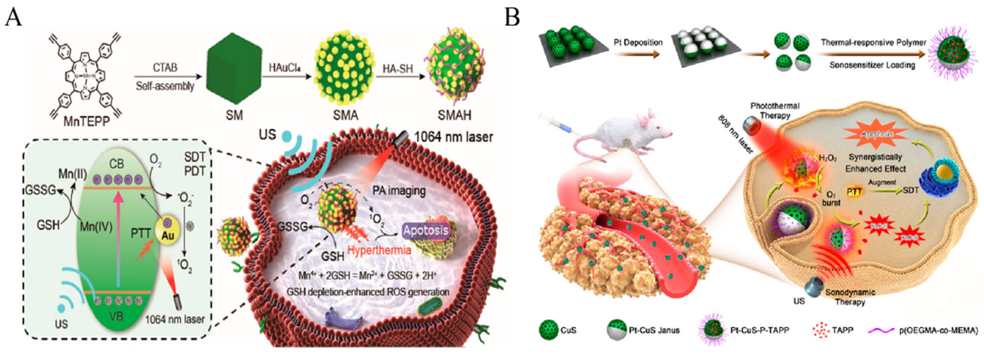 Pharmaceutics 16 00603 g005