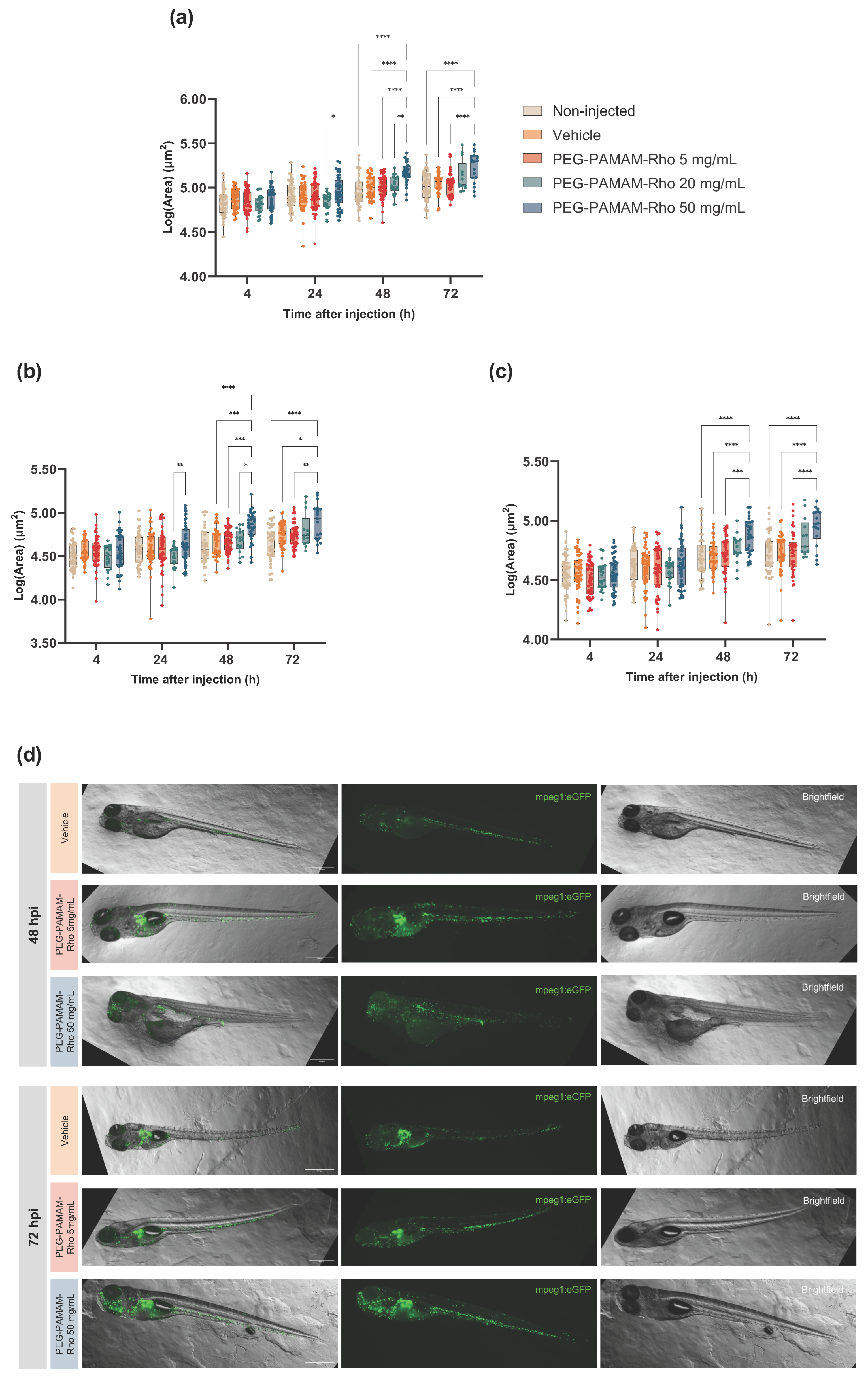 Pharmaceutics 16 00608 g003