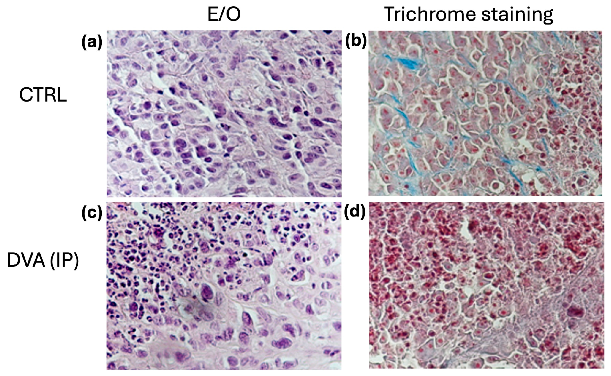 Pharmaceutics 16 00610 g006