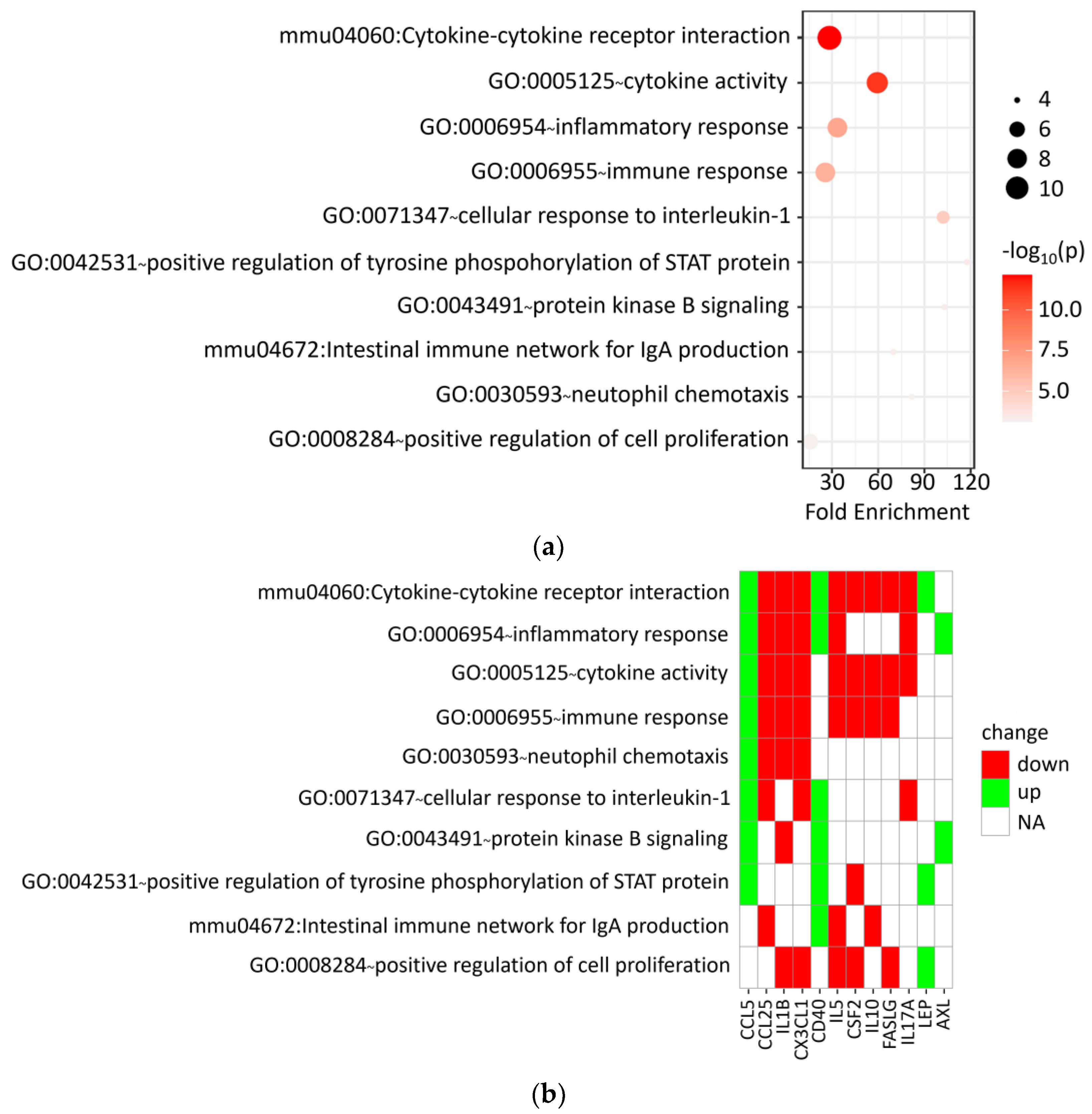 Pharmaceutics 16 00610 g007