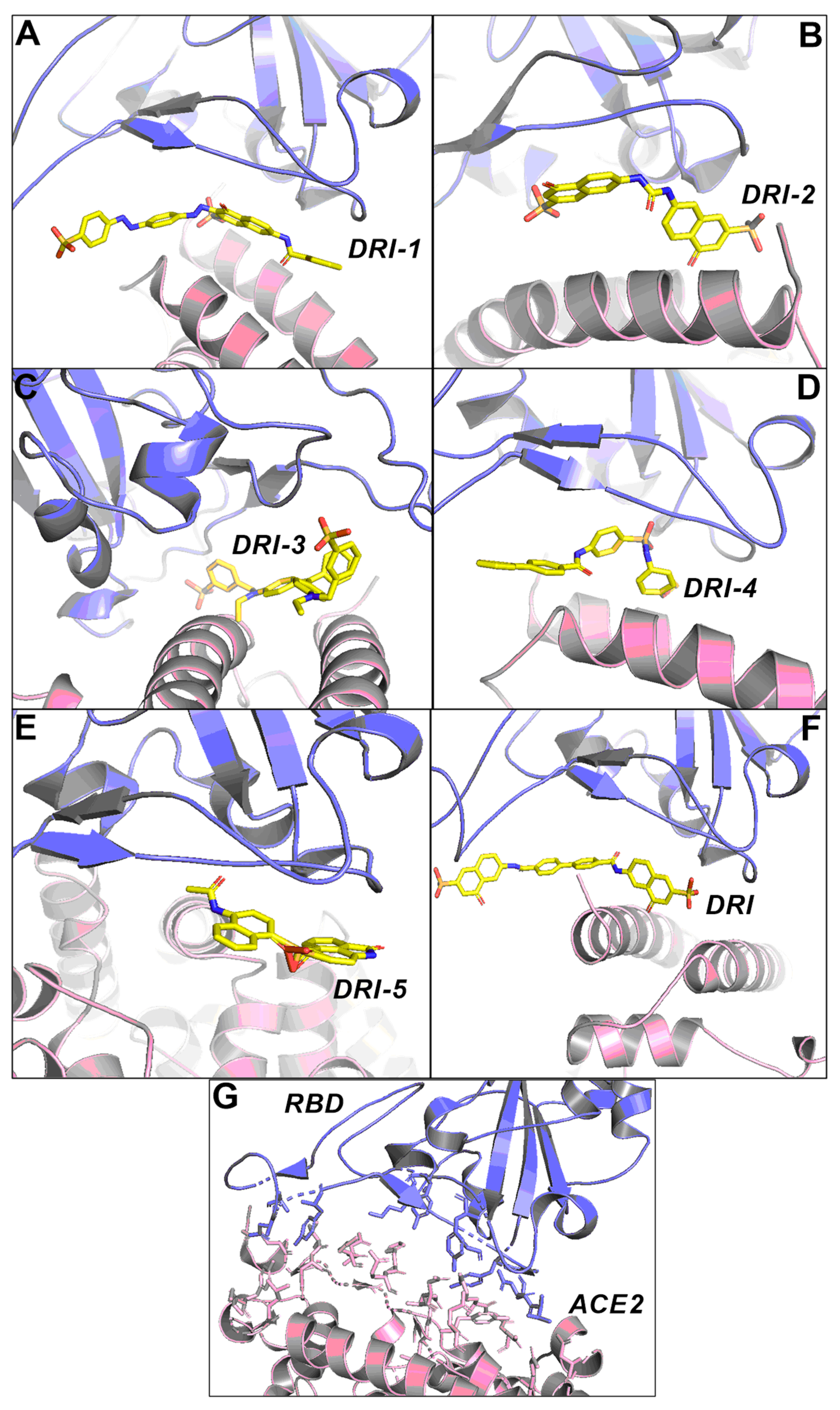 Pharmaceutics 16 00613 g005