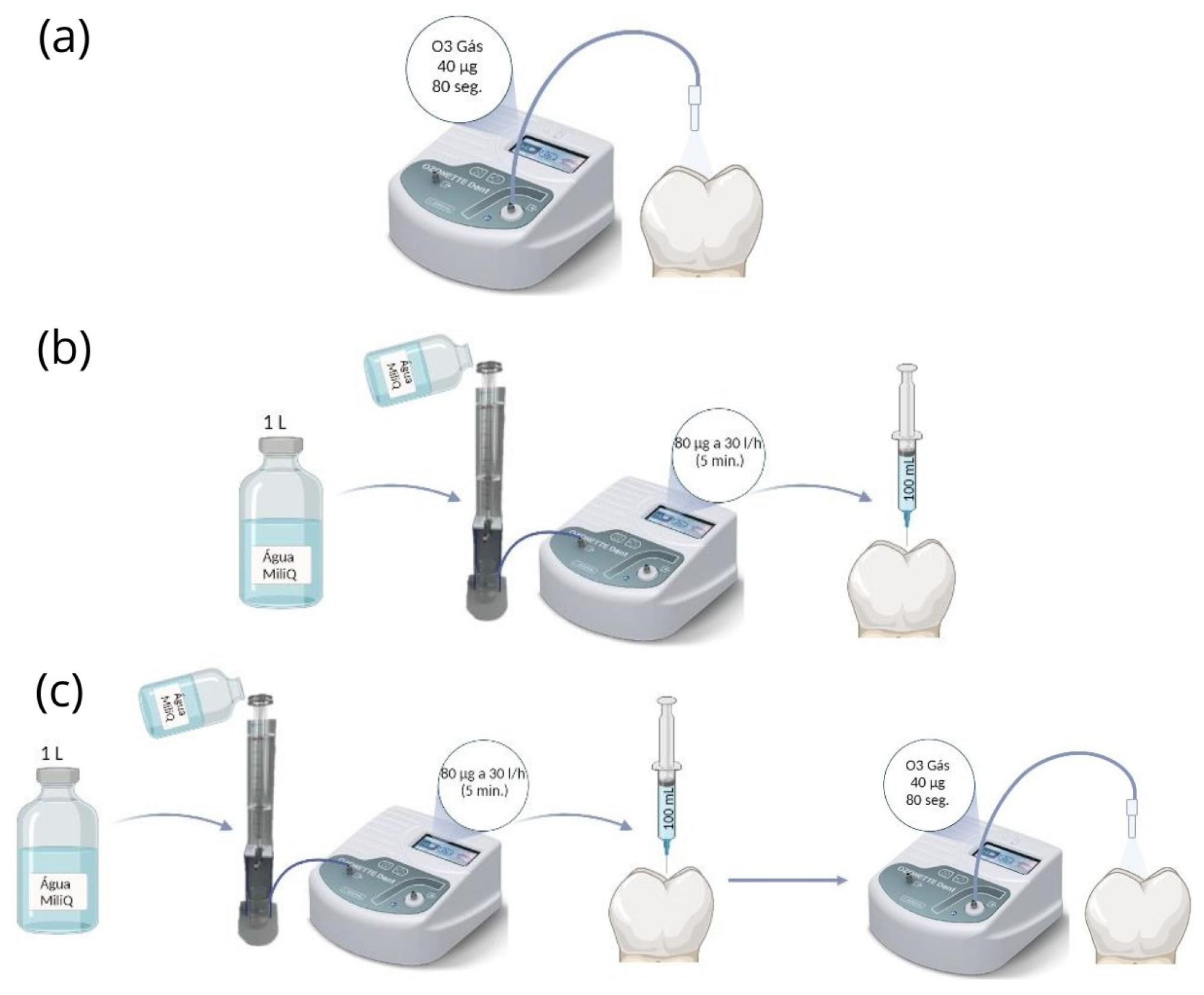 Pharmaceutics 16 00614 g002