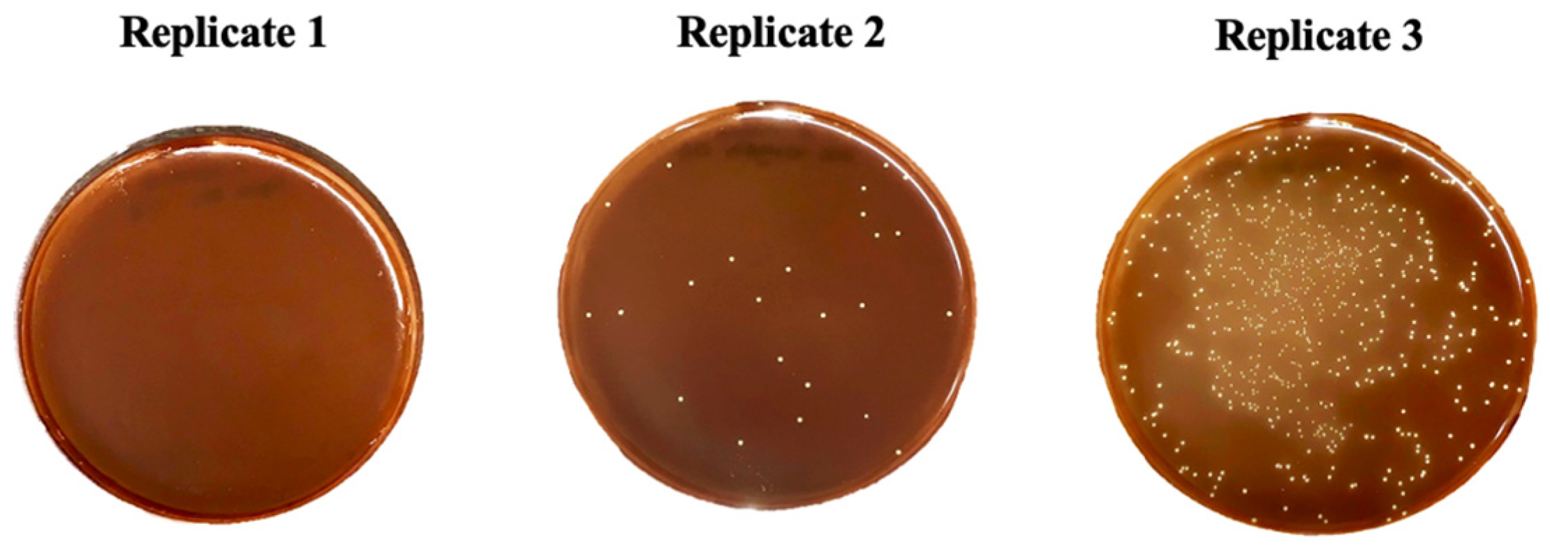 Pharmaceutics 16 00614 g003