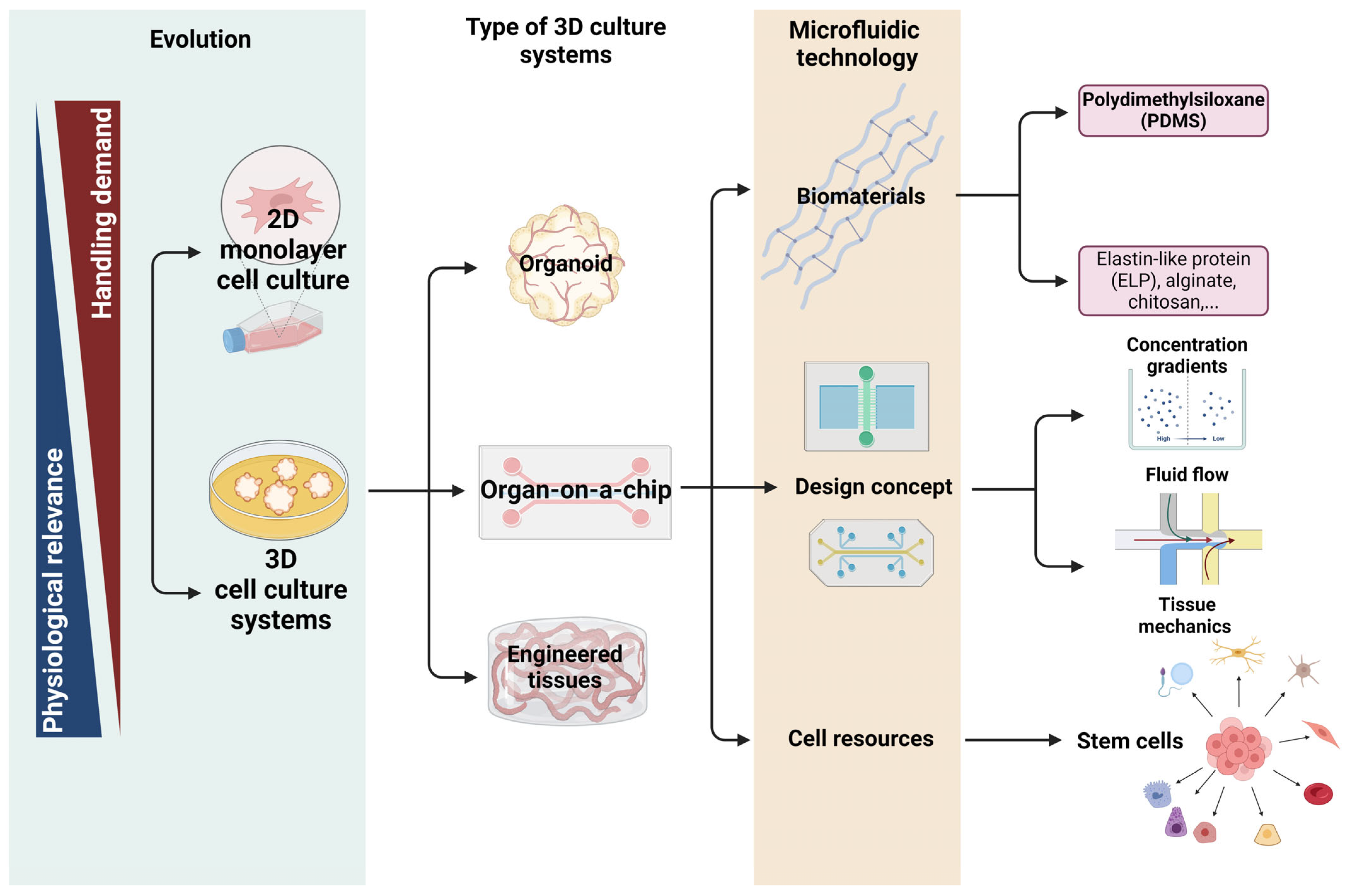 Pharmaceutics 16 00615 g001