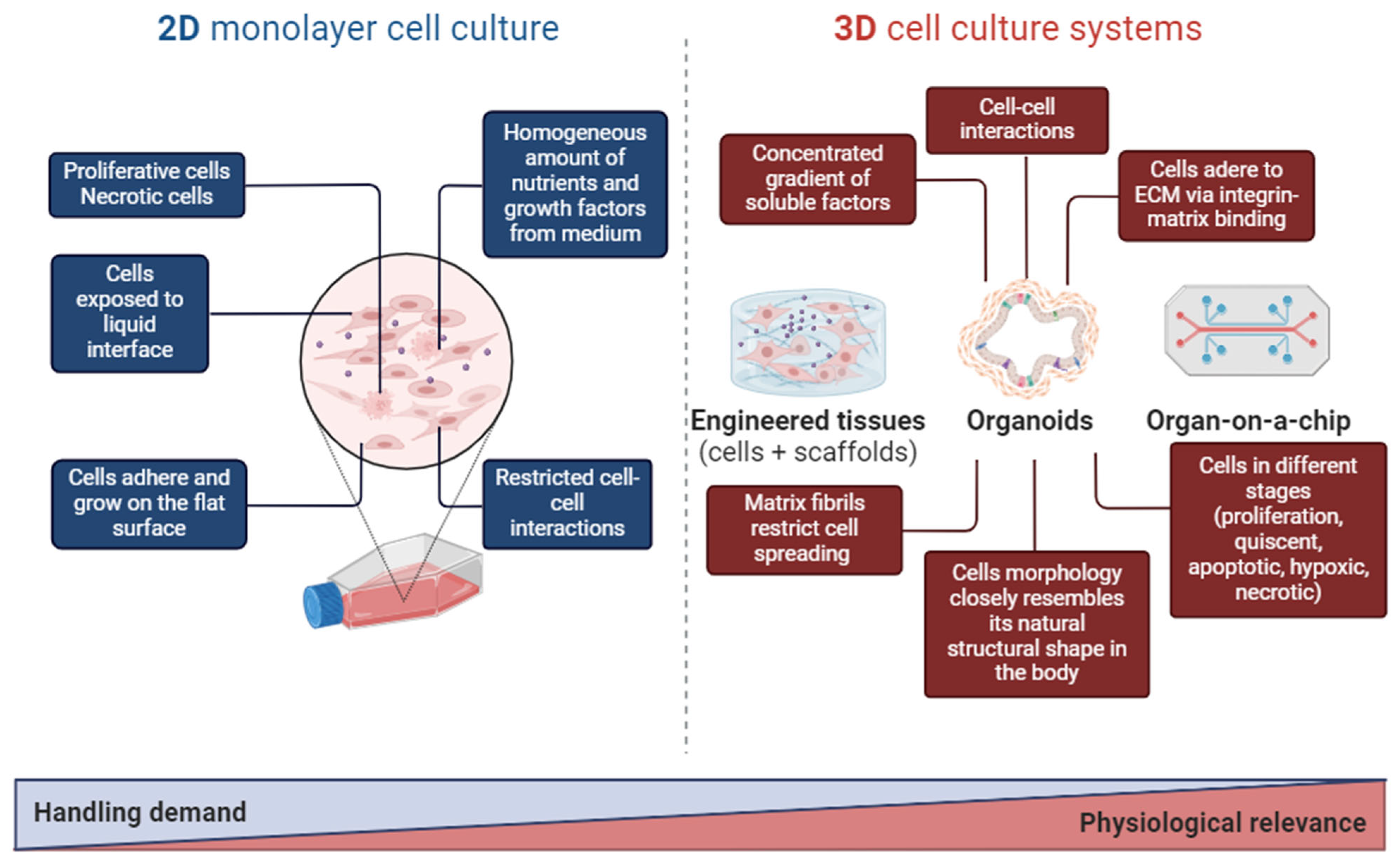 Pharmaceutics 16 00615 g002