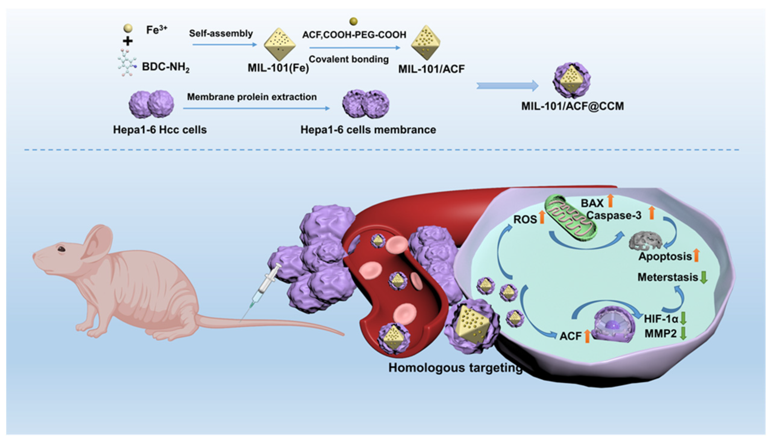 Pharmaceutics 16 00619 sch001