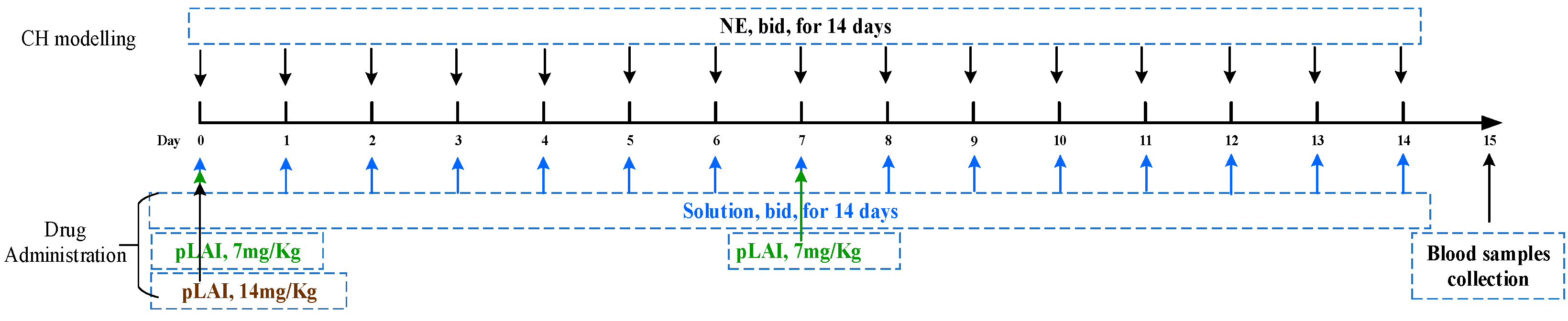 Pharmaceutics 16 00620 g003