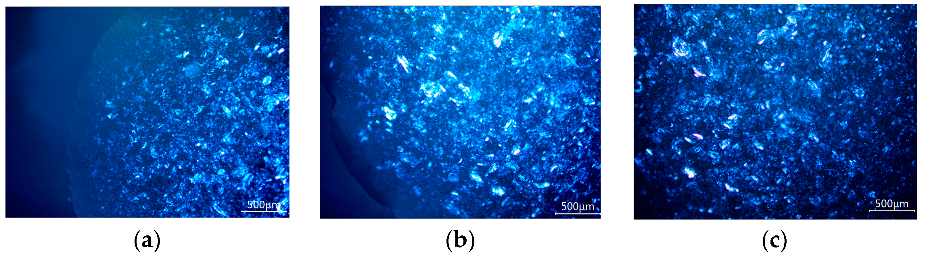Pharmaceutics 16 00620 g007