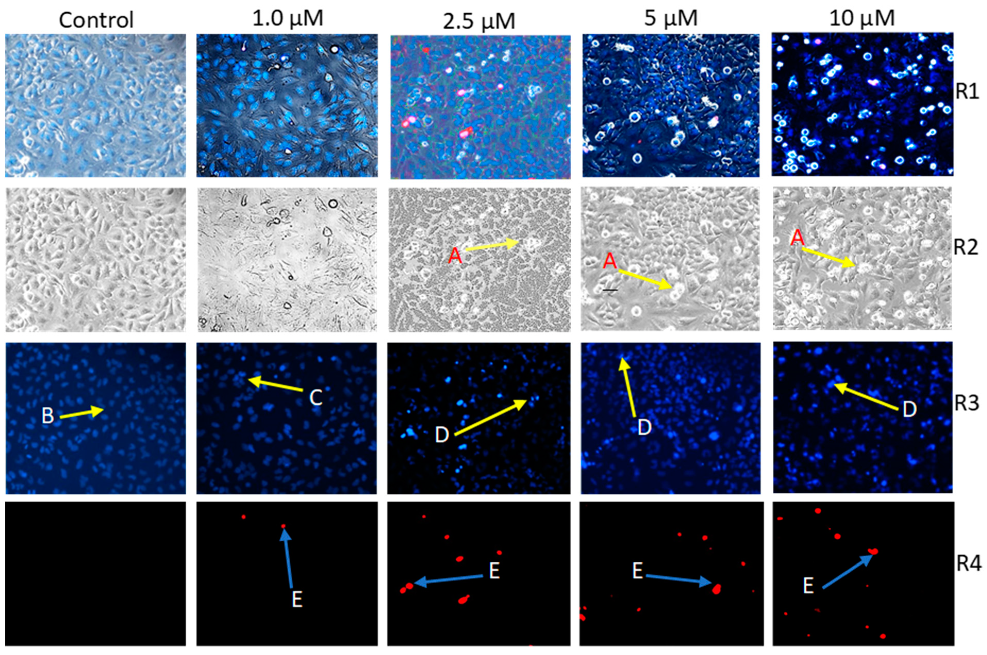 Pharmaceutics 16 00622 g002 Pharmaceutics 16 00622 g002