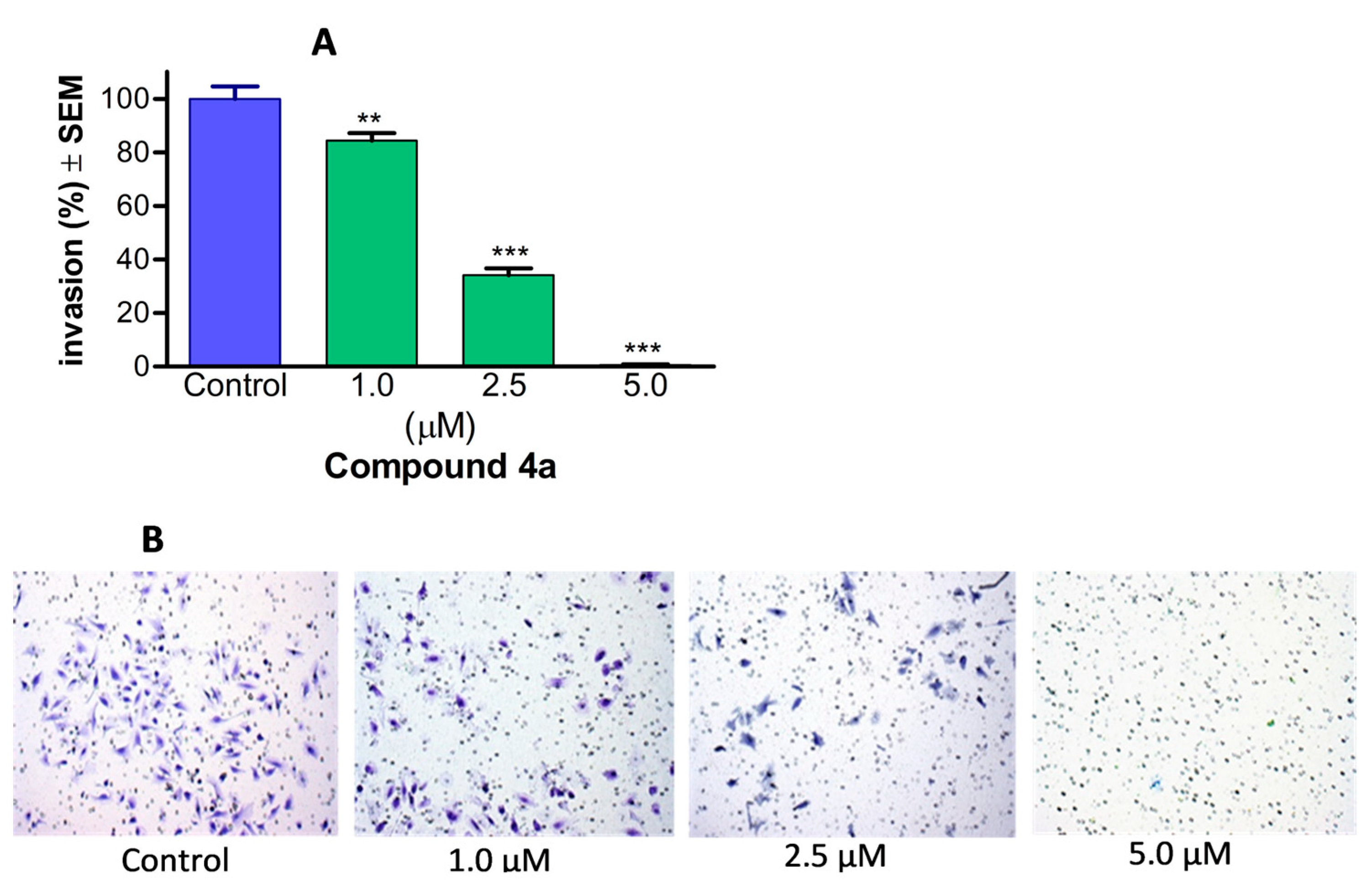 Pharmaceutics 16 00622 g007 Pharmaceutics 16 00622 g007